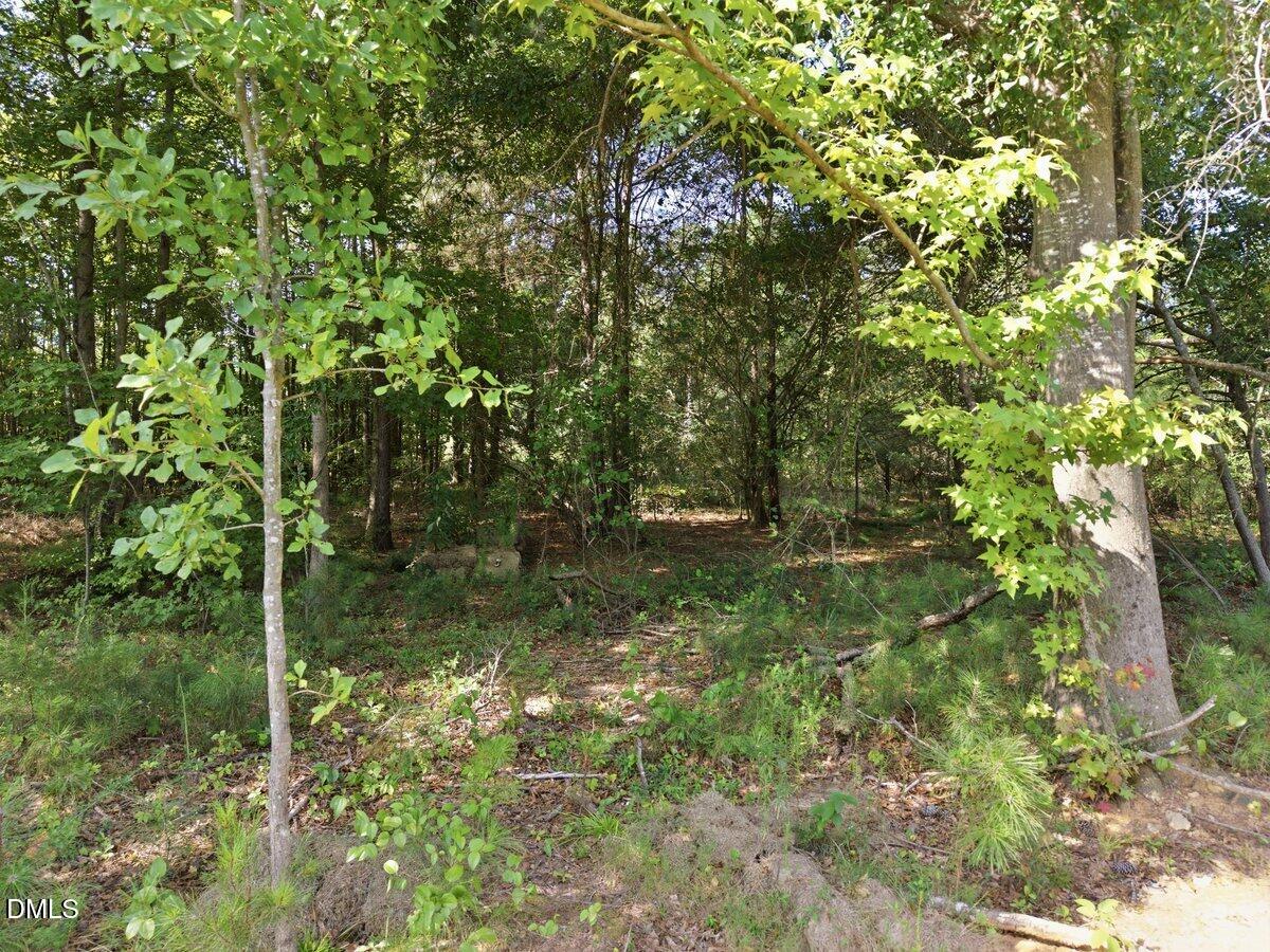 331 Meadow Walk Drive Property Photo 2