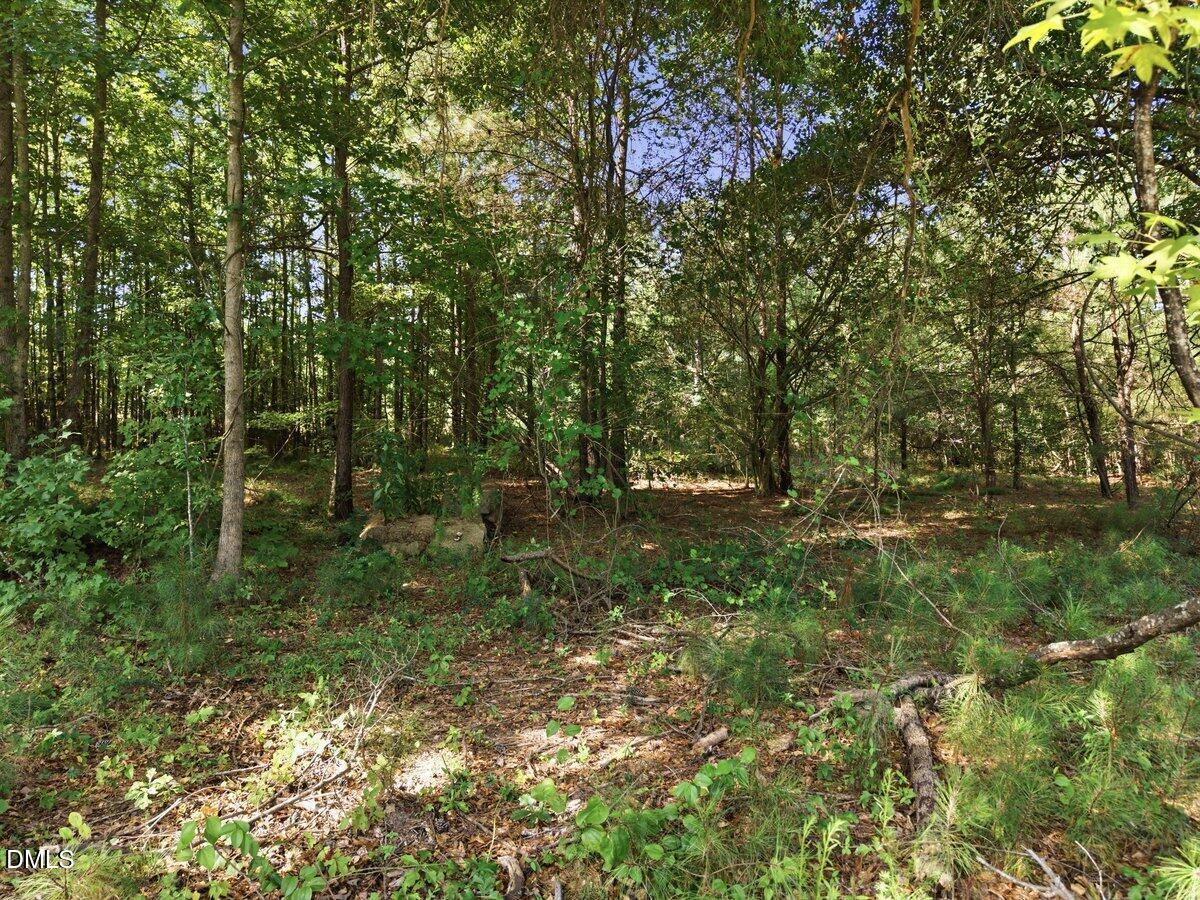331 Meadow Walk Drive Property Photo 3