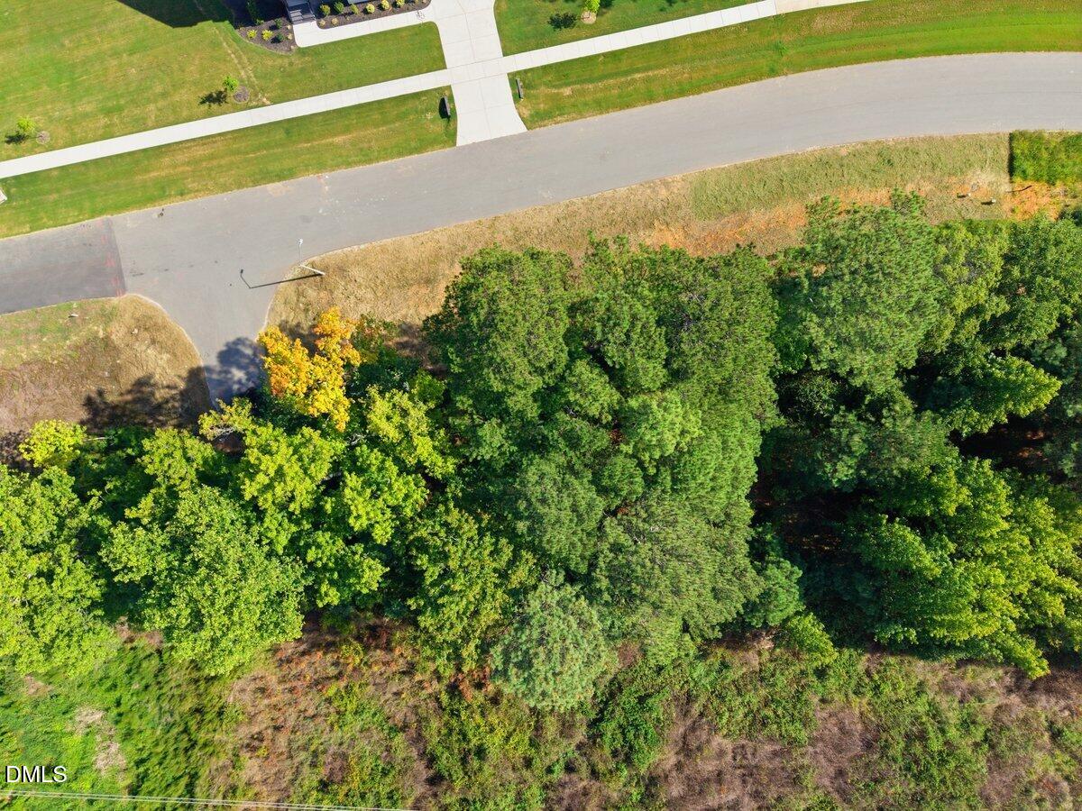 331 Meadow Walk Drive Property Photo 5