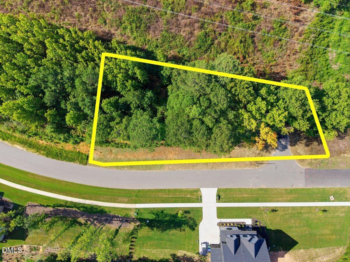 331 Meadow Walk Drive Property Photo 6