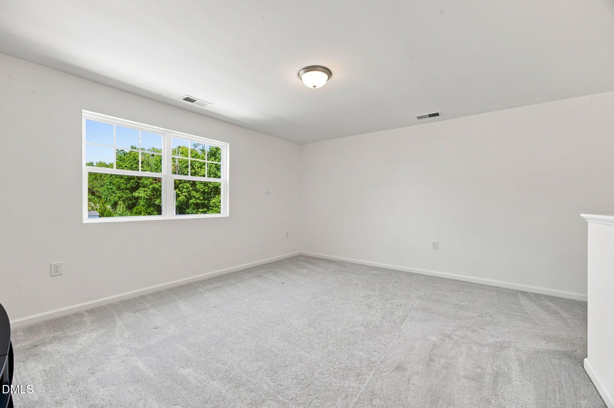 703 Starry Sky Drive Property Photo 33