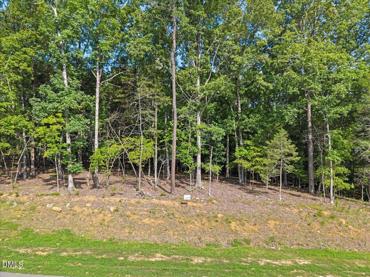 93 Firefly Overlook Road Property Photo 2