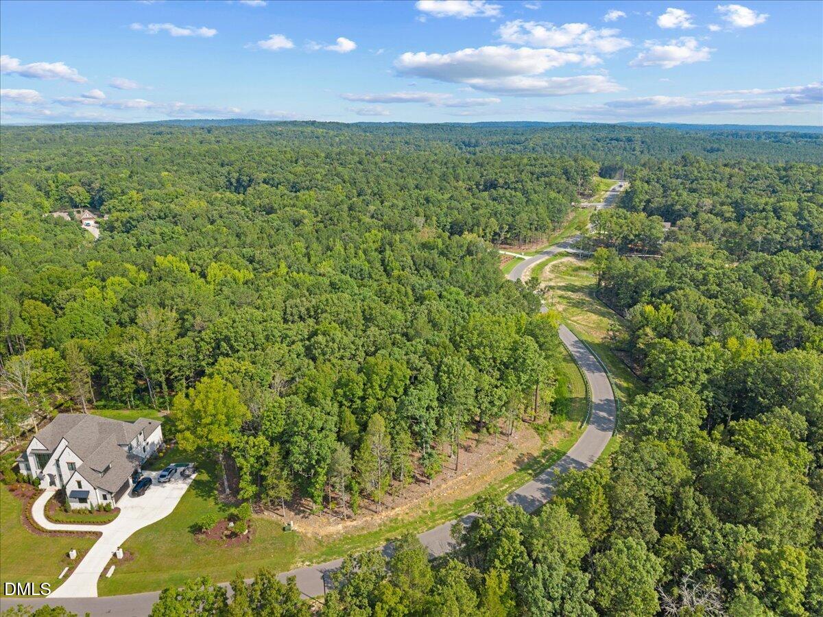 93 Firefly Overlook Road Property Photo 5