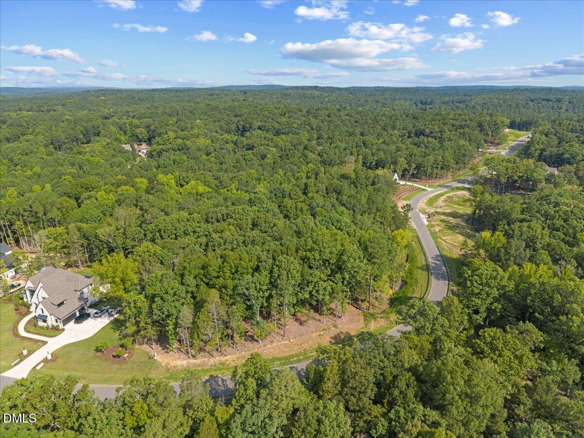 93 Firefly Overlook Road Property Photo 6