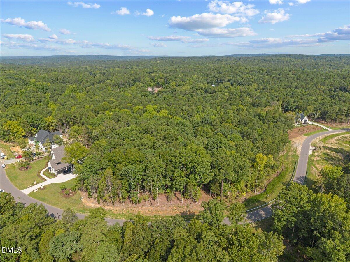 93 Firefly Overlook Road Property Photo 7