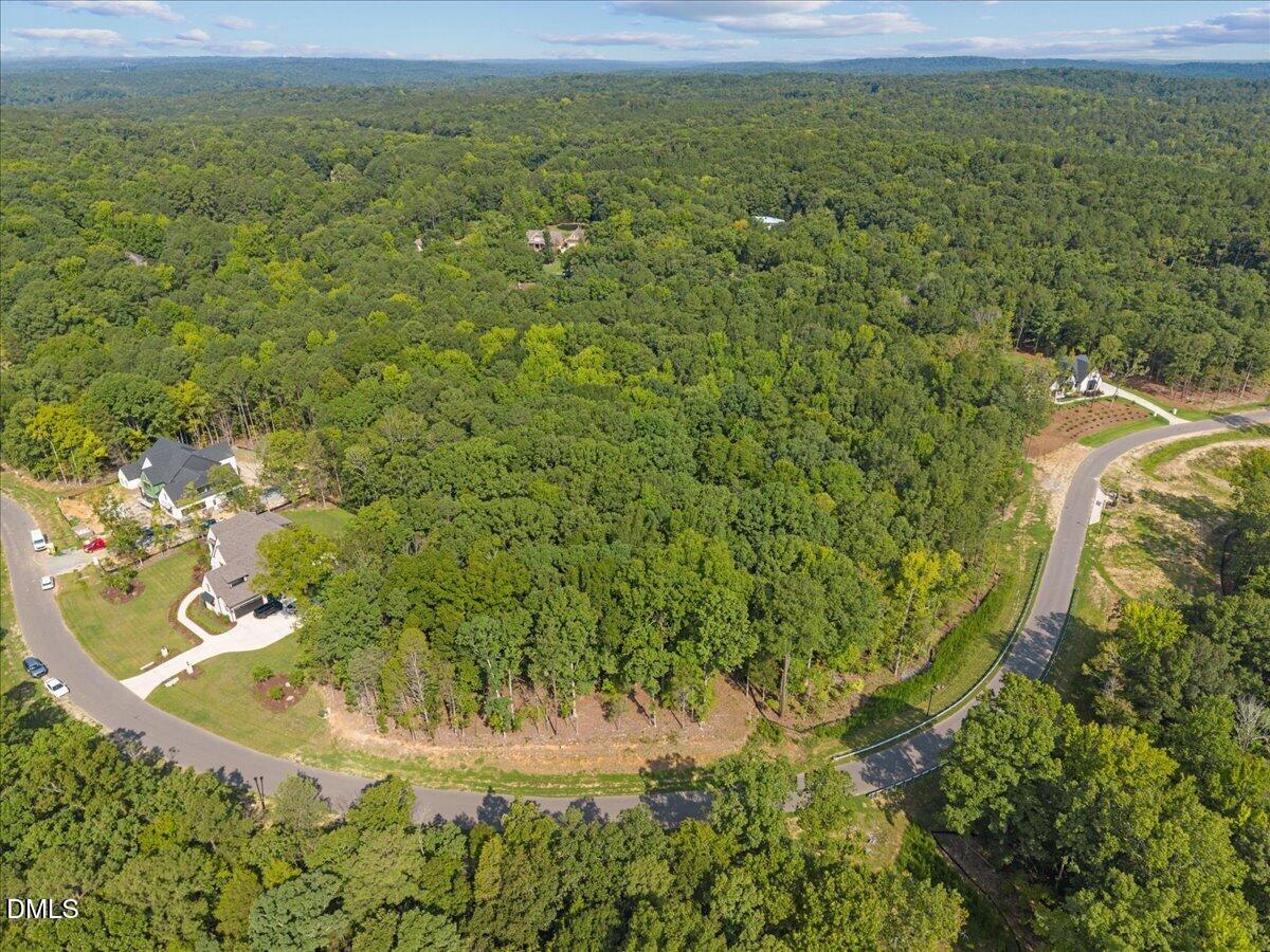 93 Firefly Overlook Road Property Photo 8