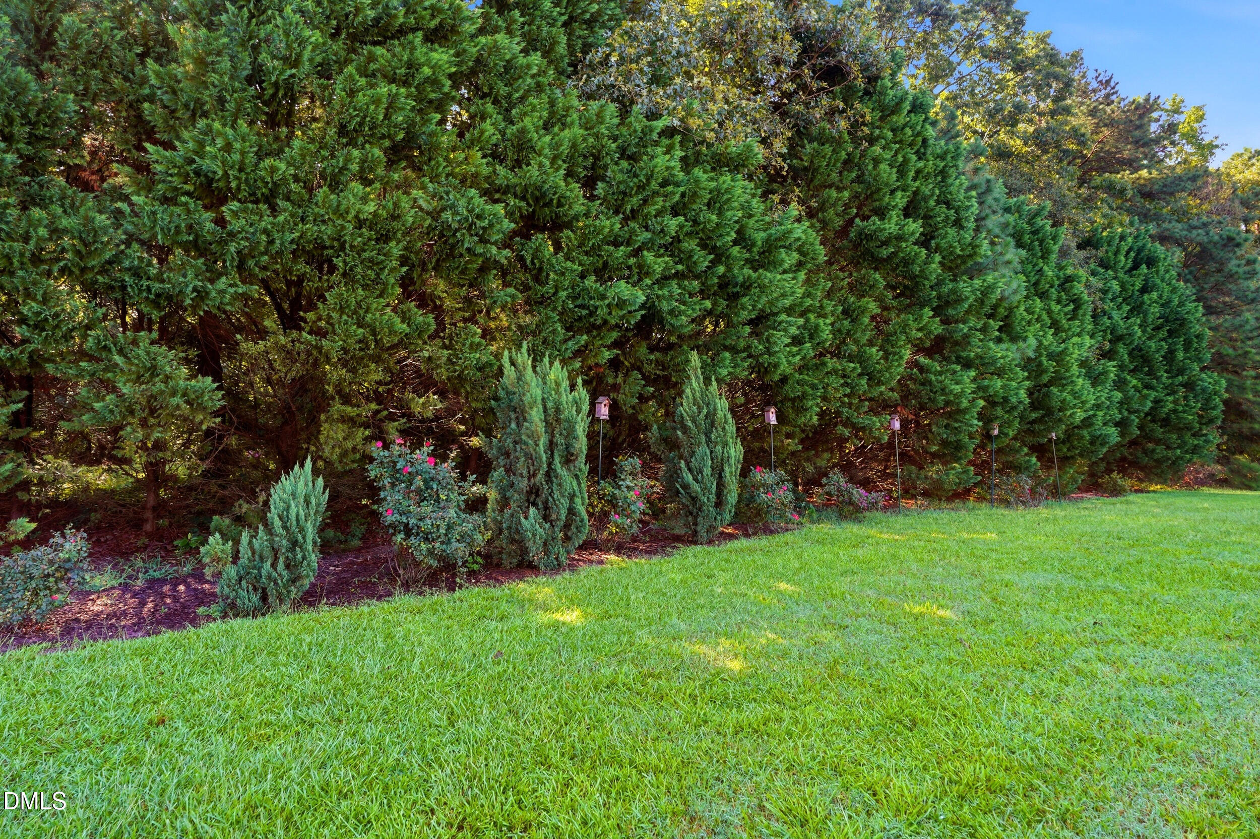 289 Reeder Branch Drive Property Photo 42