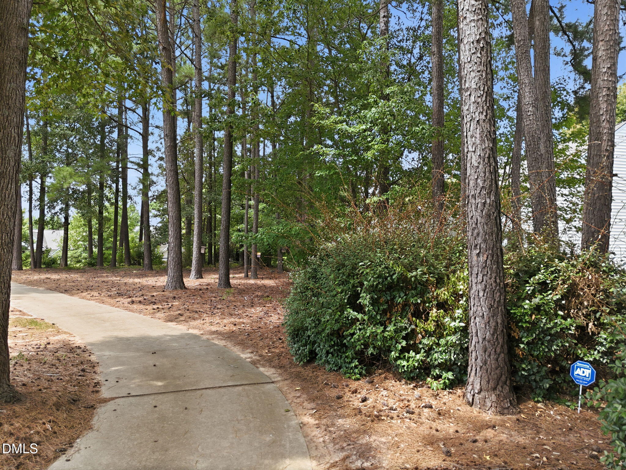3809 Cathedral Bell Road Property Photo 36