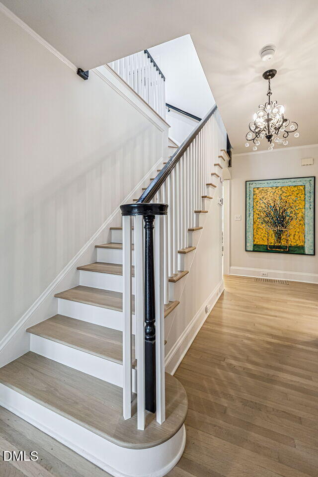 15 Henderson Street Property Photo 14