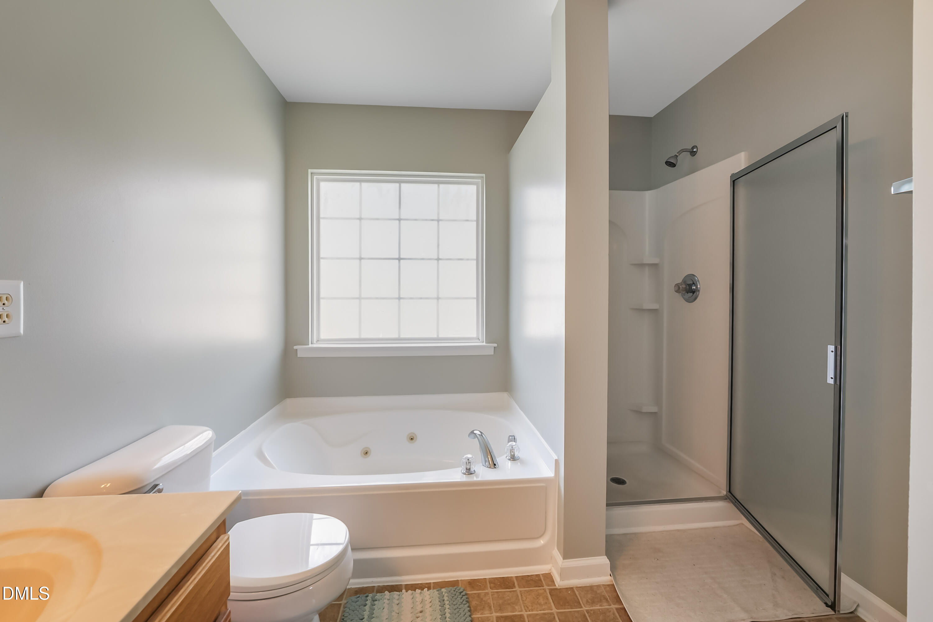 3221 Mackinac Island Lane Property Photo 16