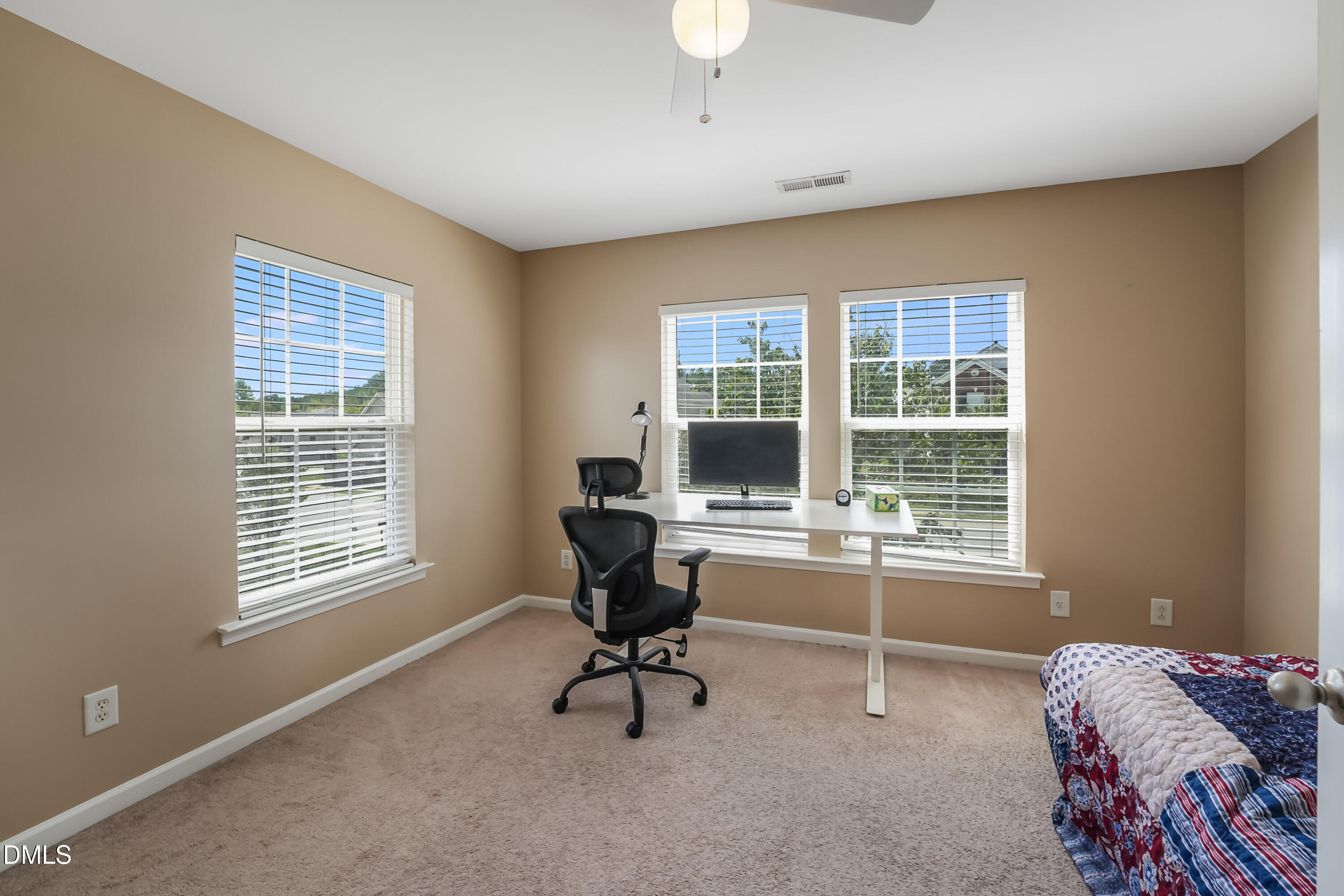 3221 Mackinac Island Lane Property Photo 19