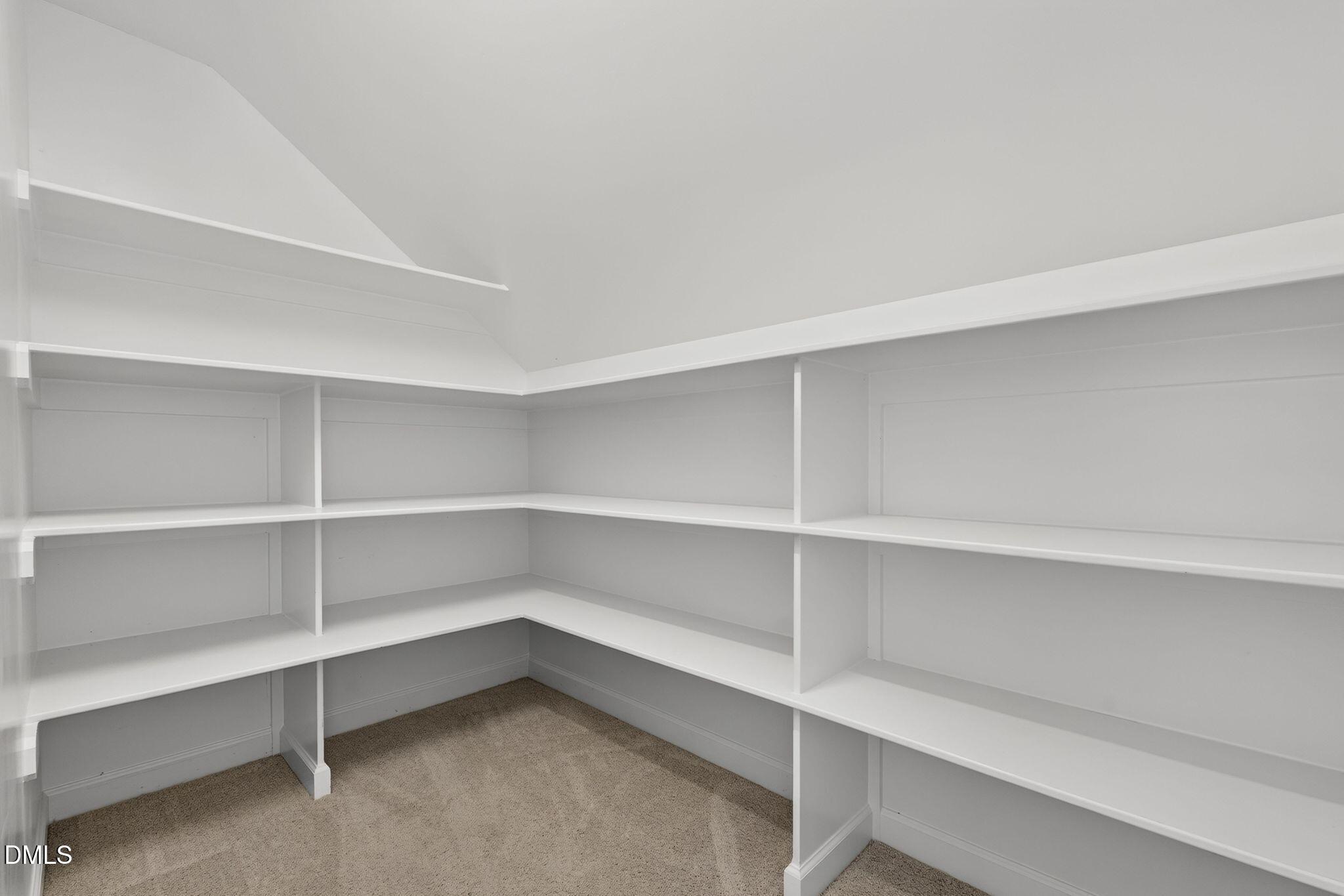 1221 Chalk Maple Drive Property Photo 68