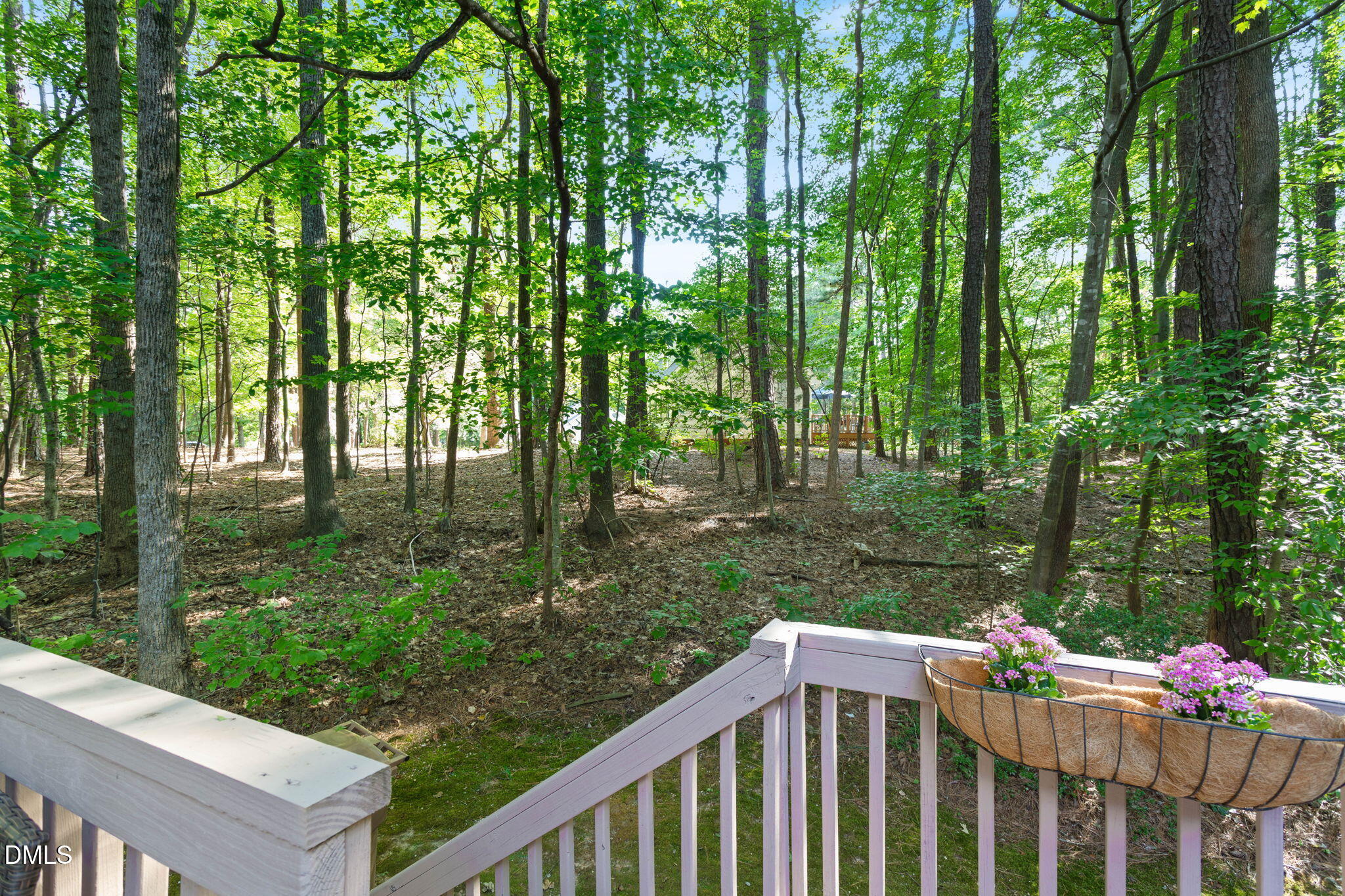 101 Hedgerow Court Property Photo 17