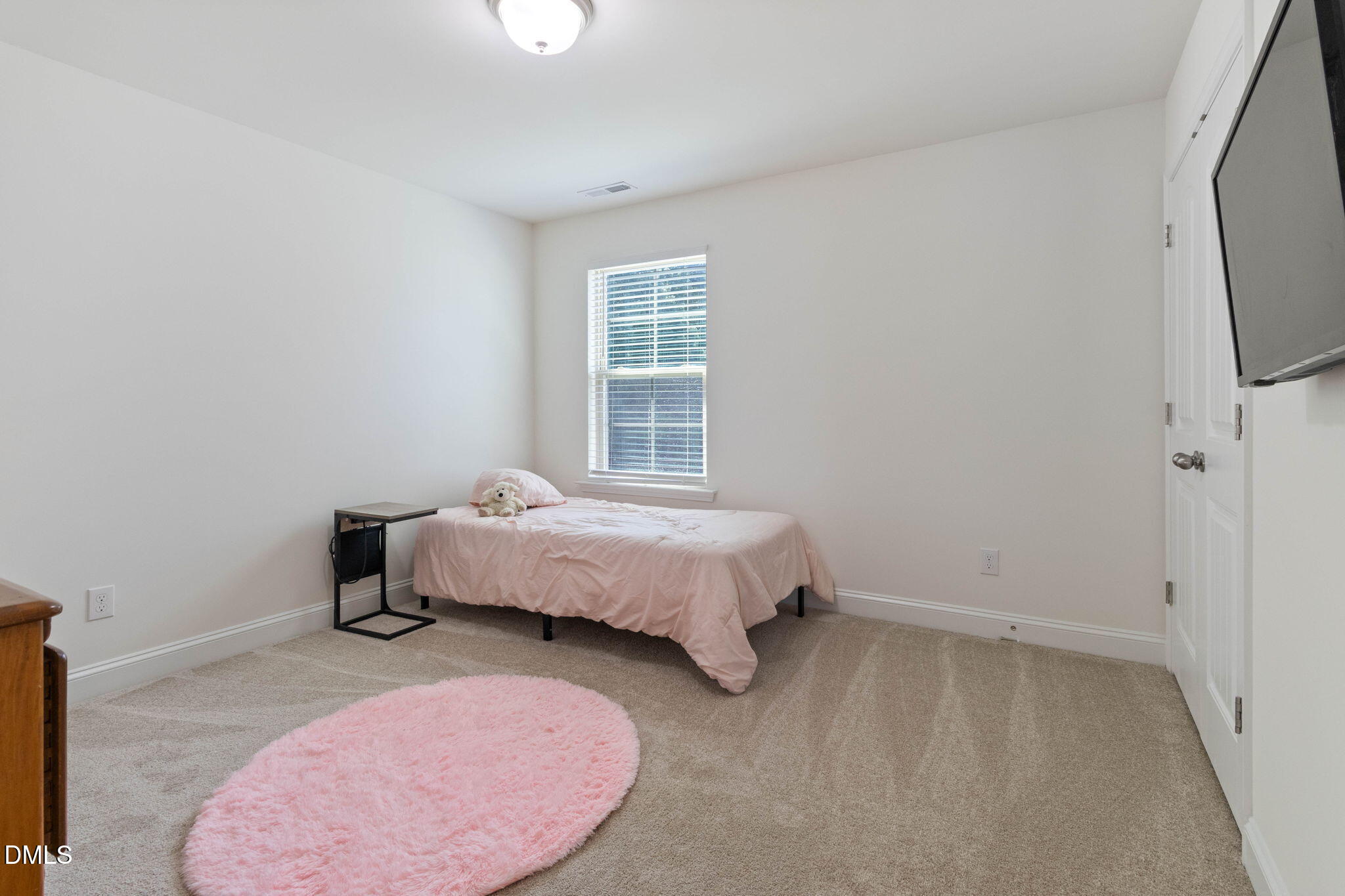 3428 Lacewing Drive Property Photo 40