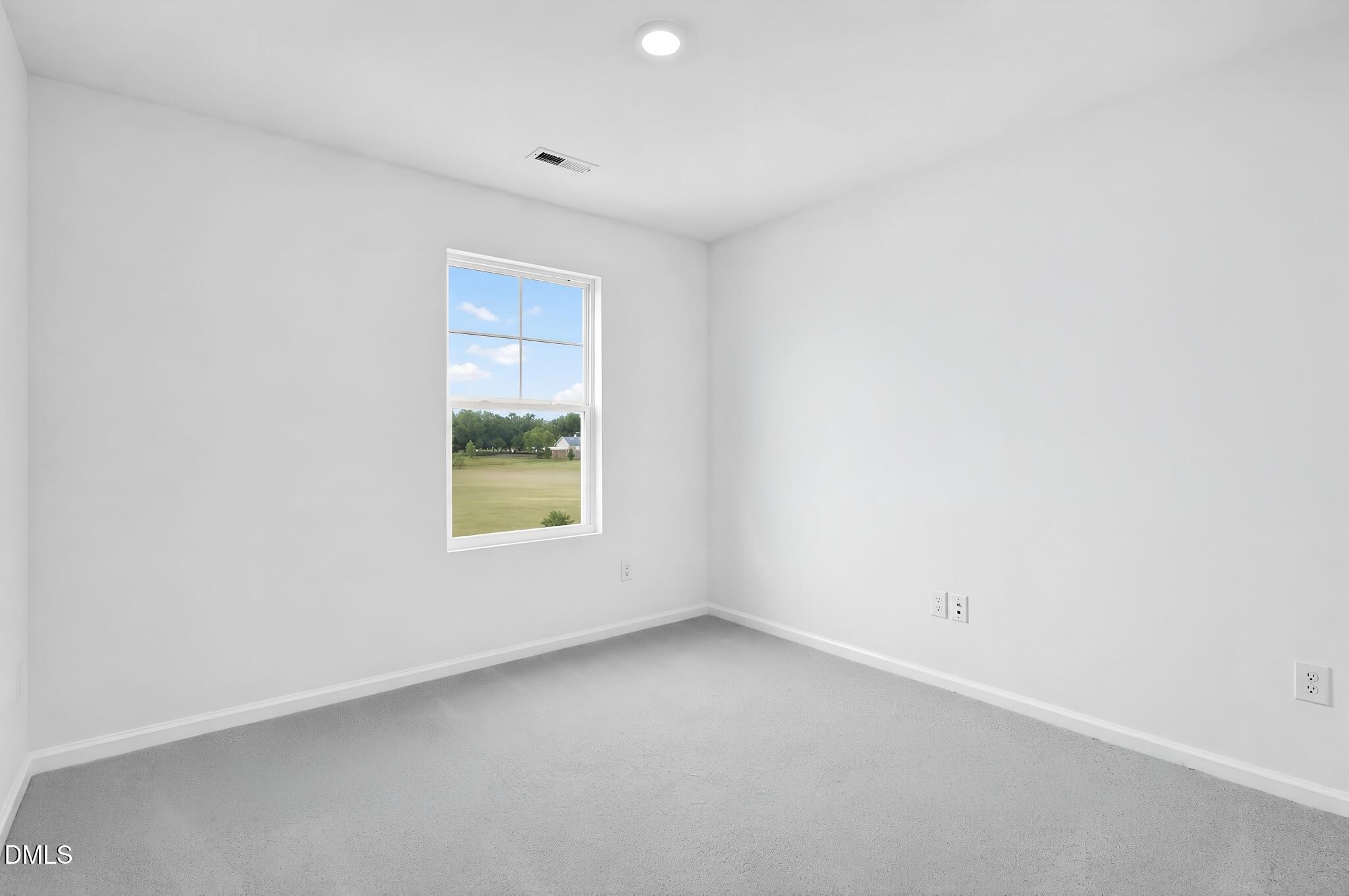 220 Blossom Field Way Property Photo 16