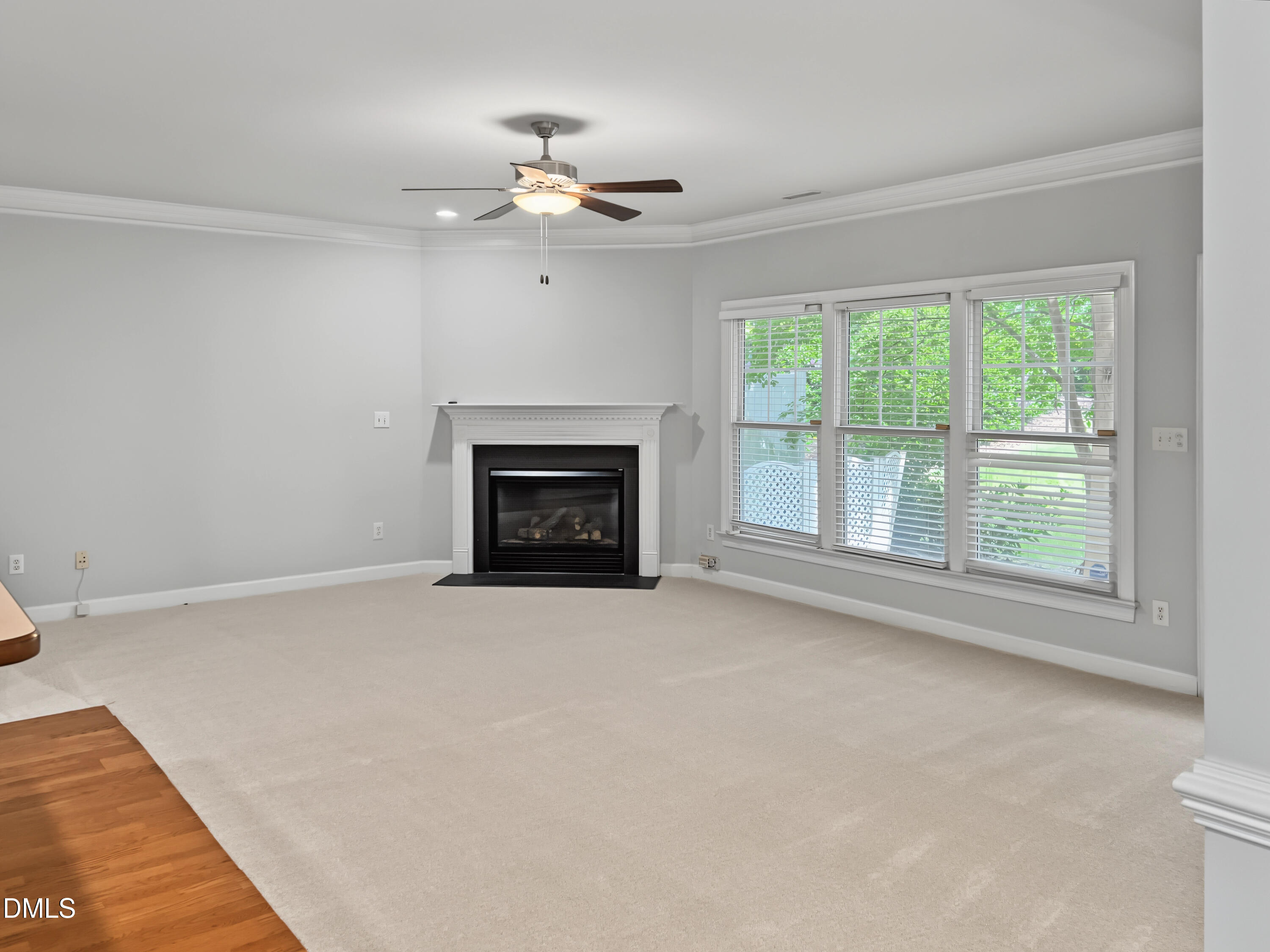 5311 Fair Rain Drive Property Photo 5