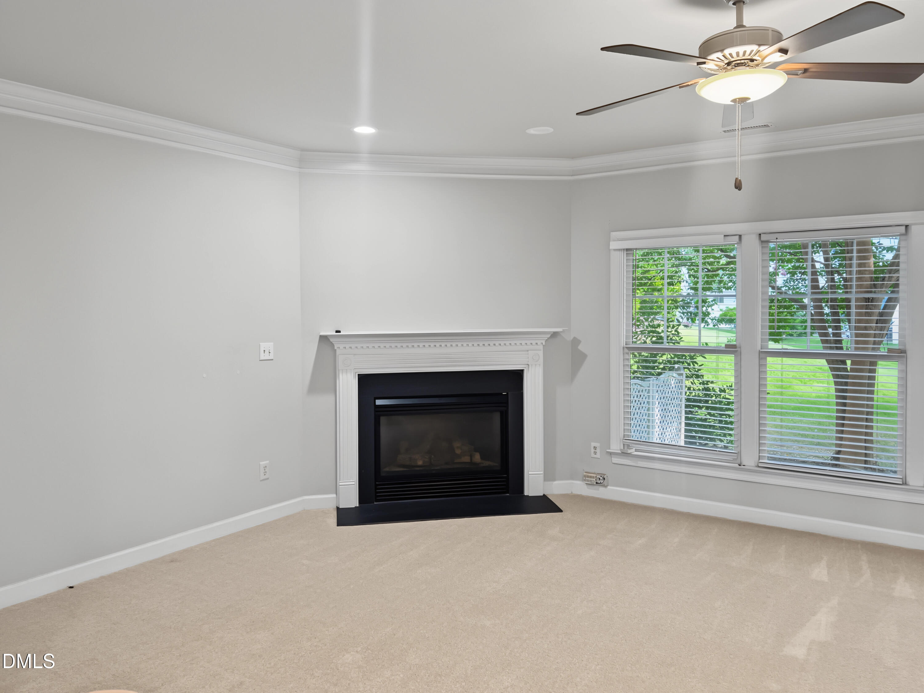 5311 Fair Rain Drive Property Photo 6