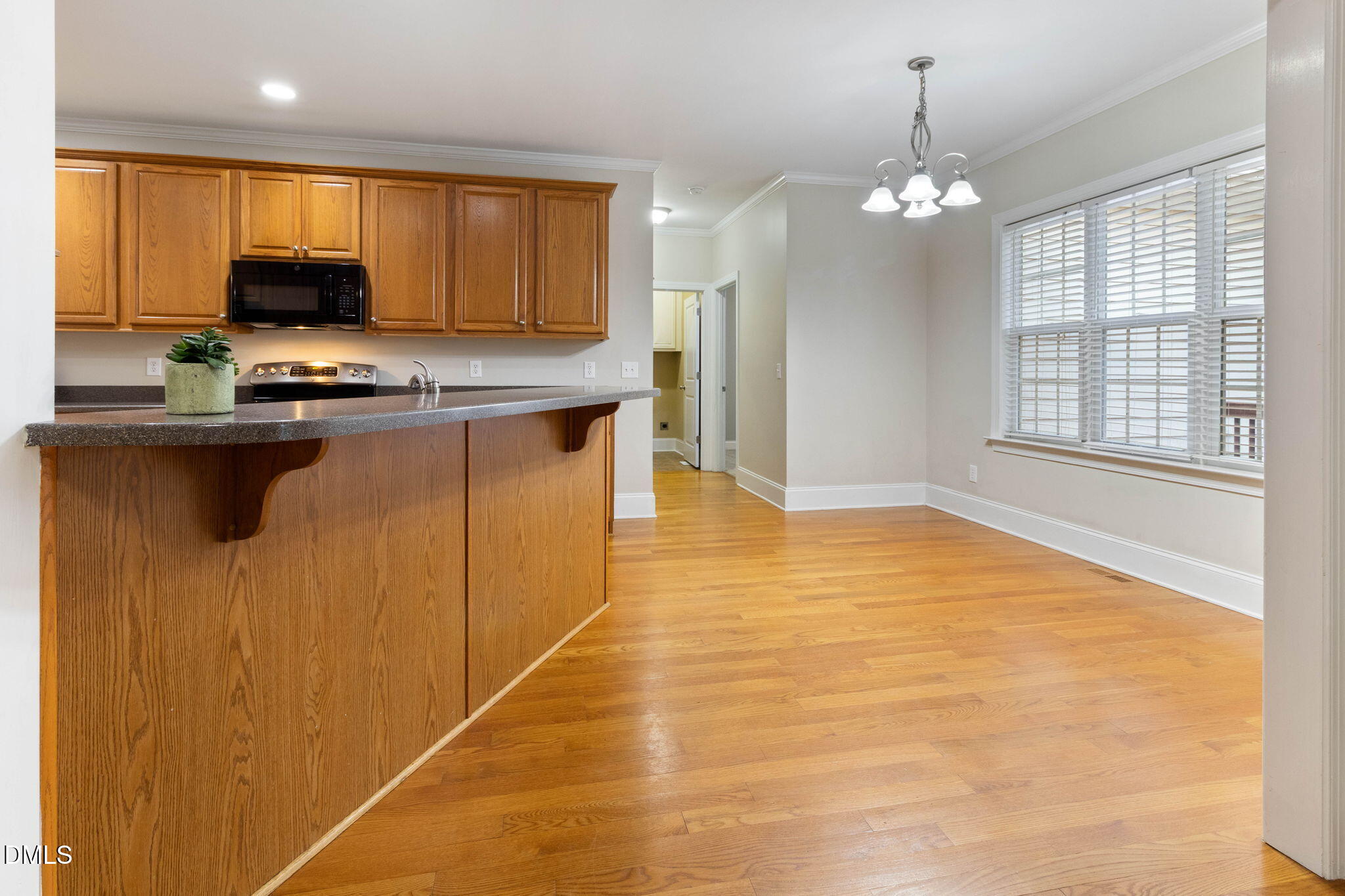 1007 Swift Creek Drive Property Photo 20