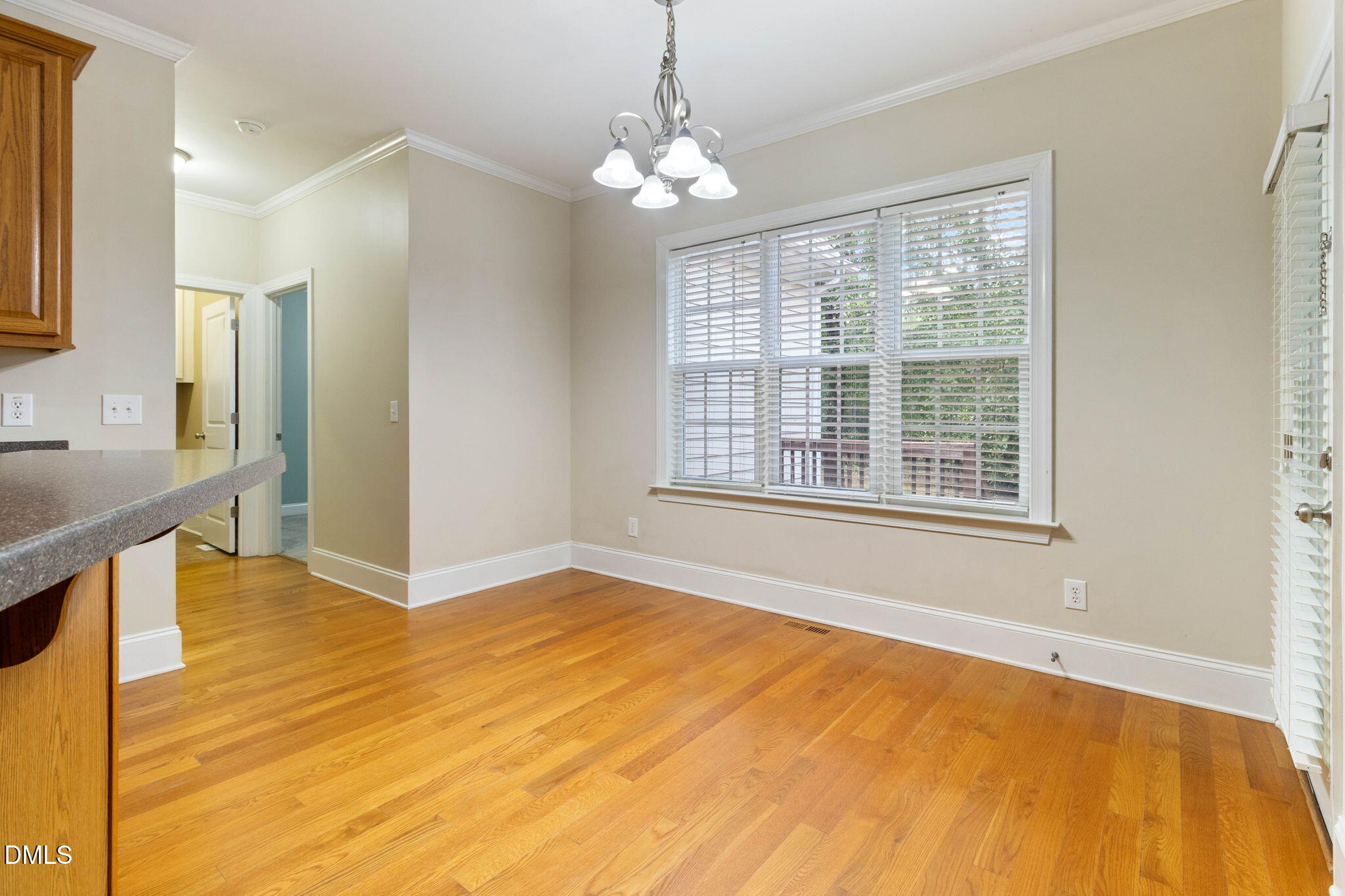 1007 Swift Creek Drive Property Photo 21