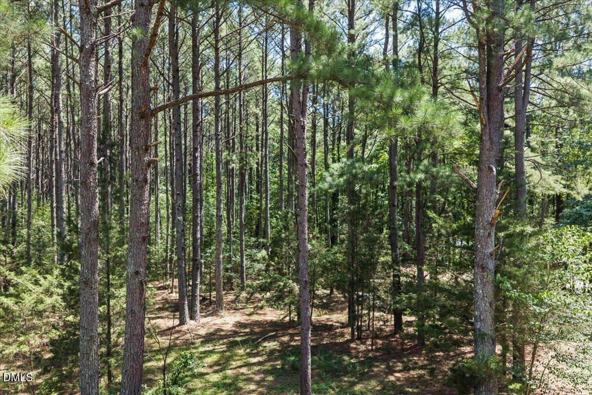 14033 Bold Run Hill Road Property Photo 56