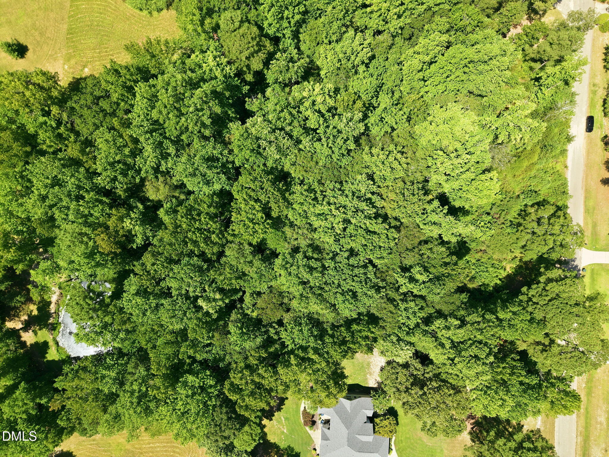 205 Teresa Court Property Photo 10