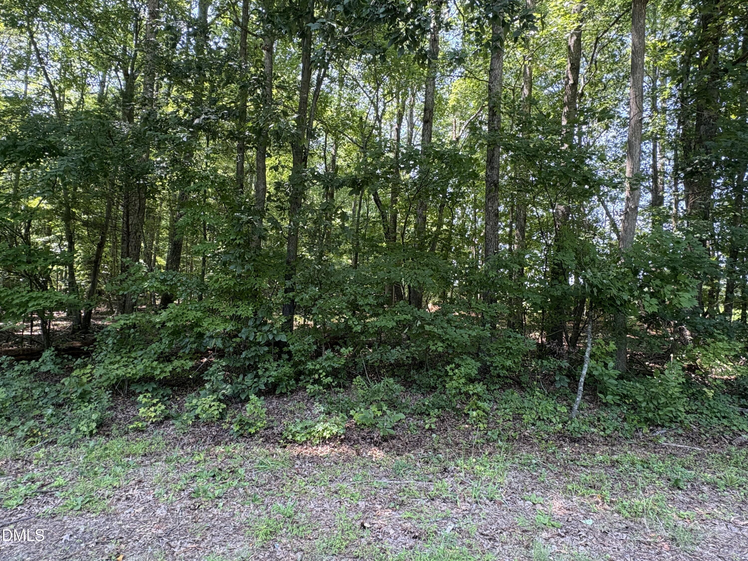 Lot 1 Sams Road Property Photo 1