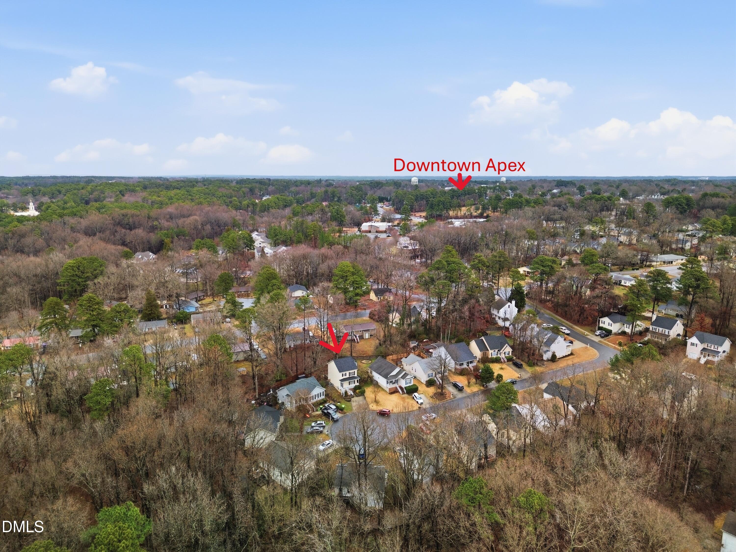 111 Lemon Drop Circle Property Photo 22