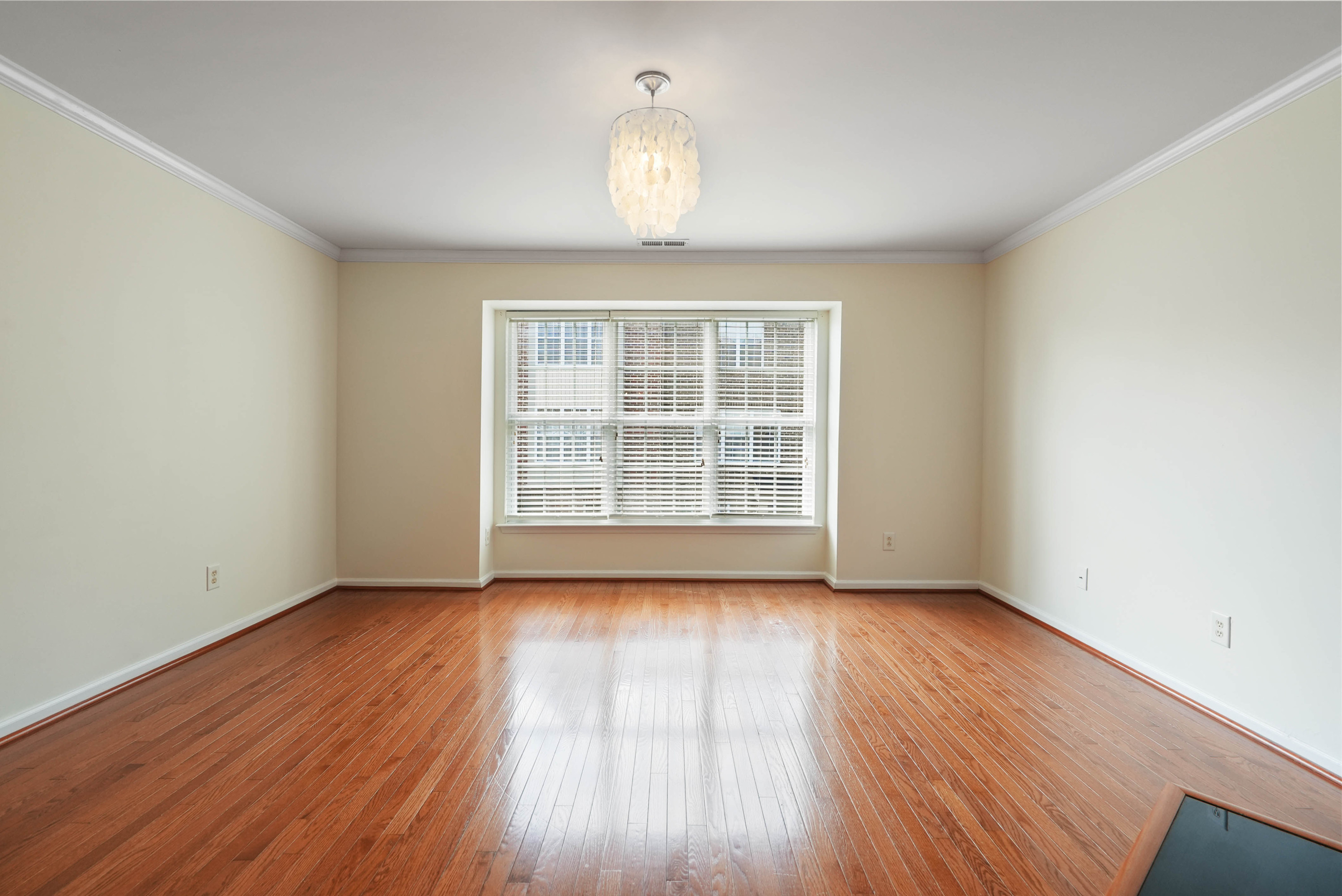 9909 Wasser Court Property Photo 6