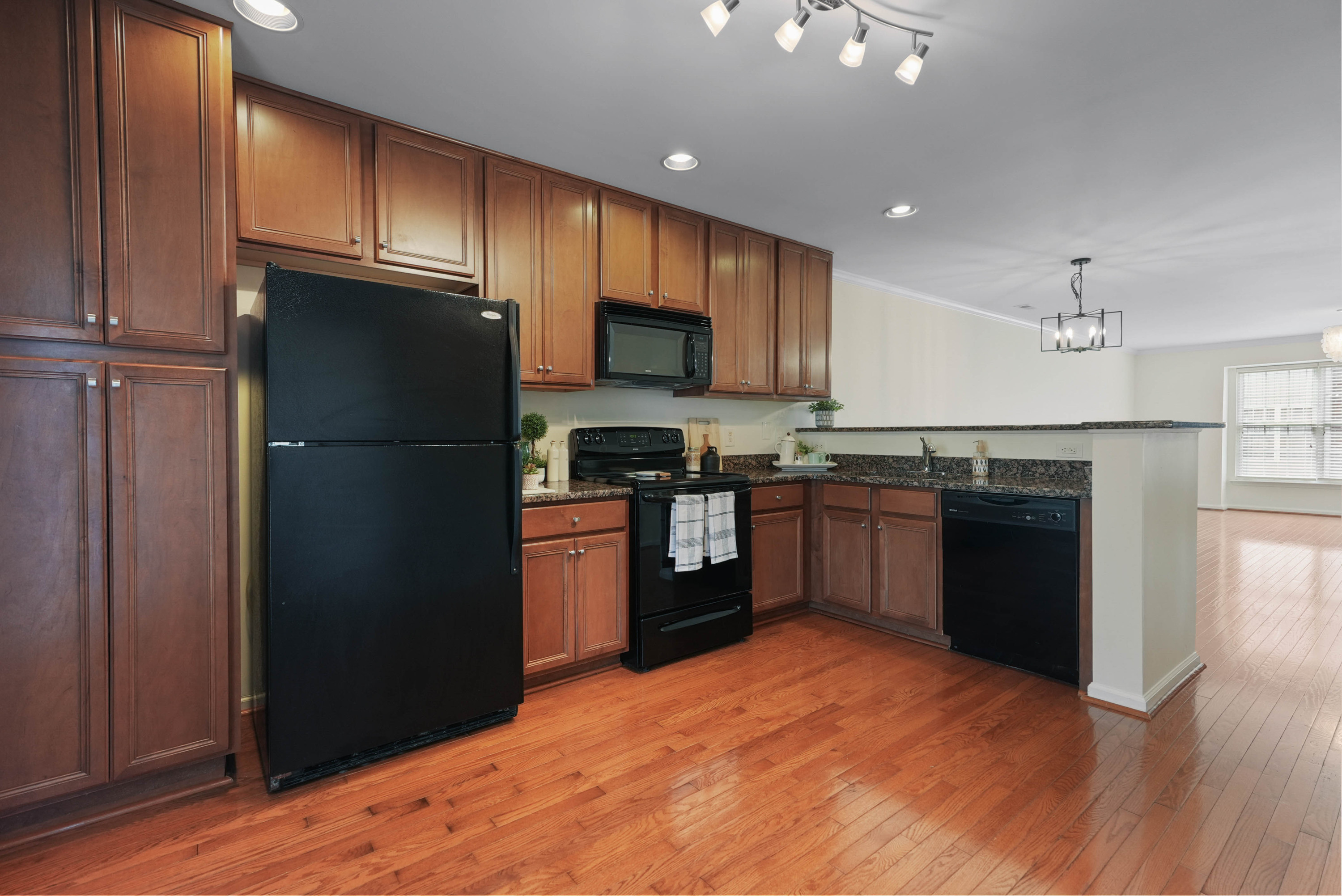 9909 Wasser Court Property Photo 12