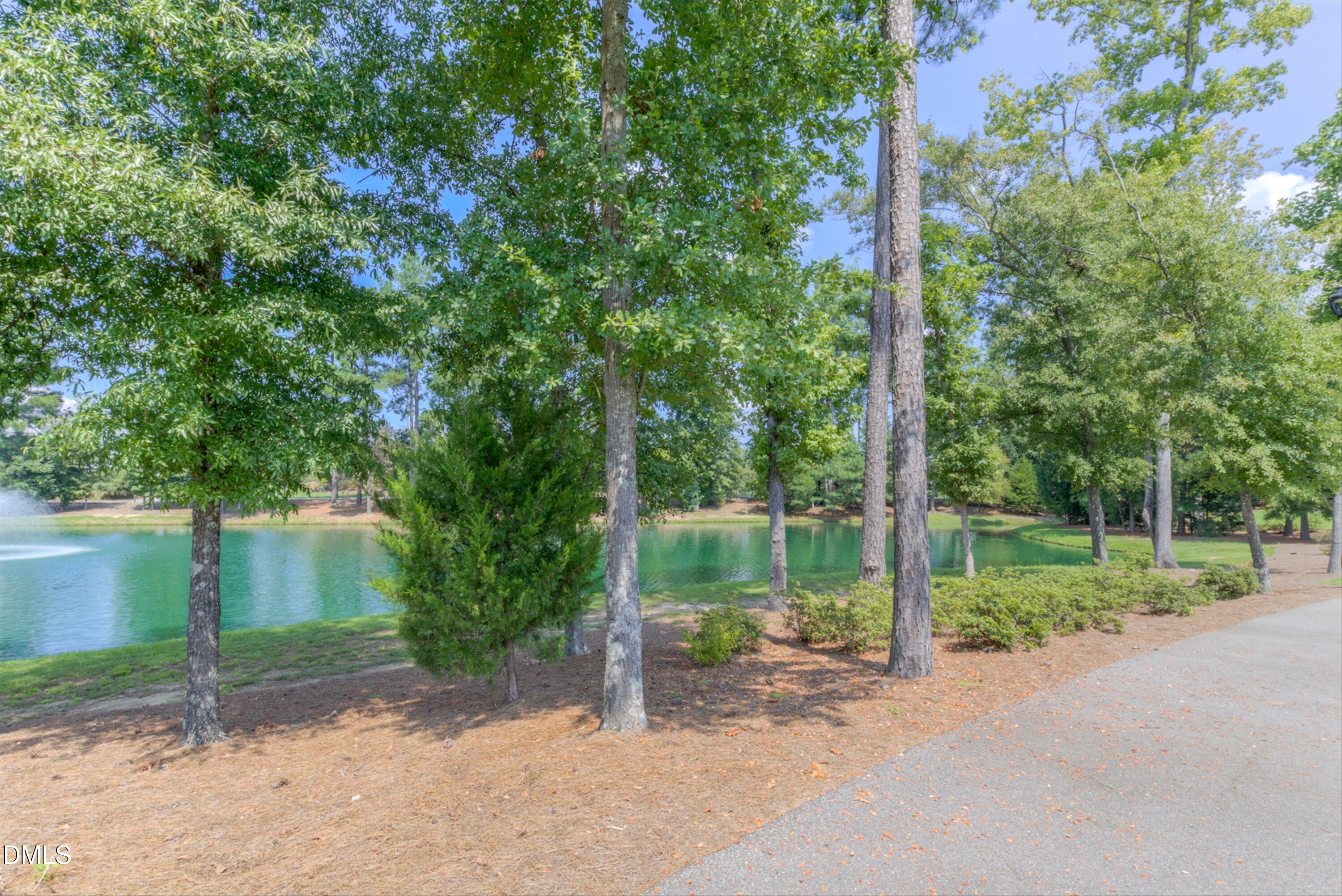 1809 Shady Oaks Drive Property Photo 65