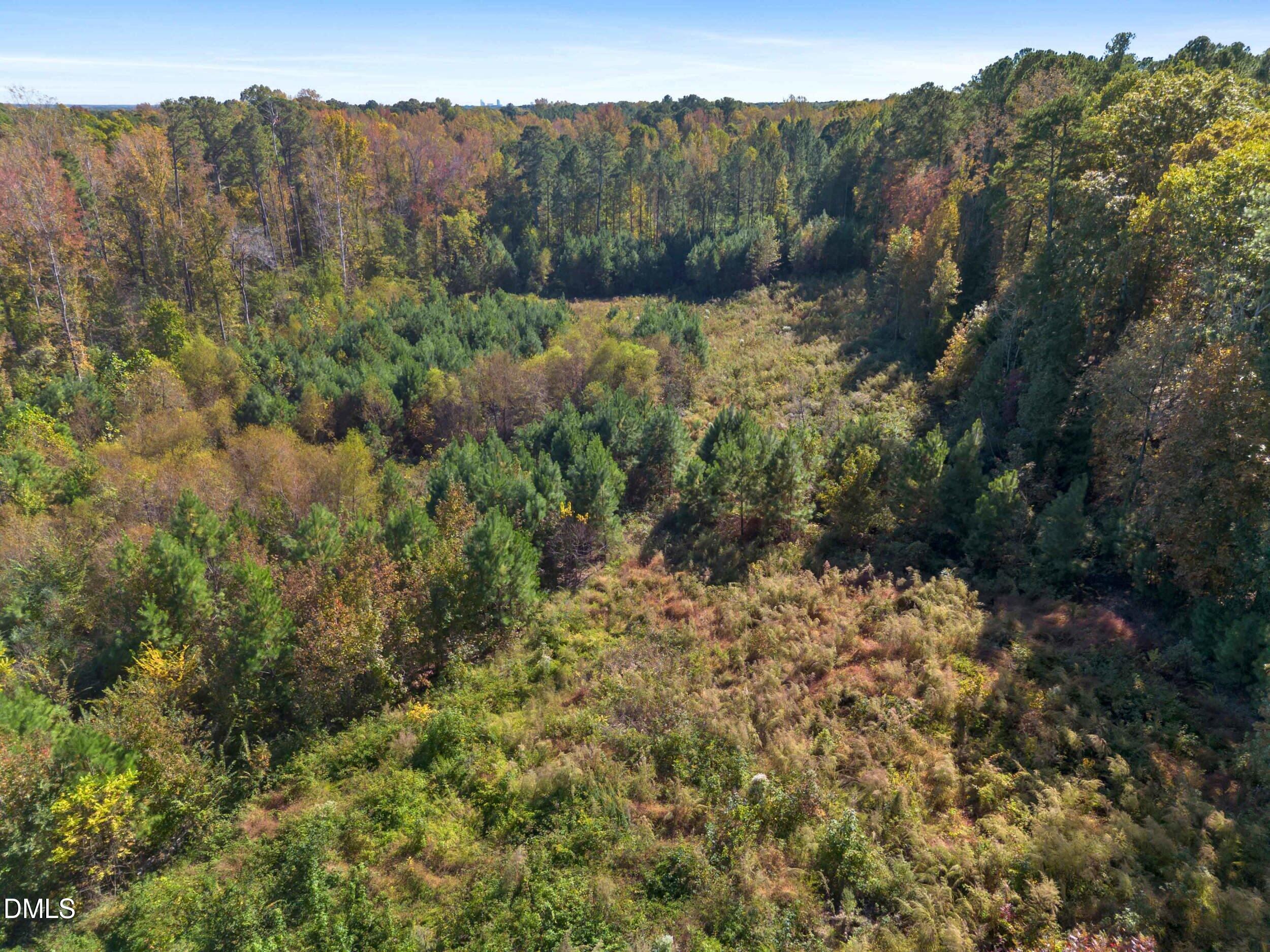 1205 Terry Road Property Photo 4