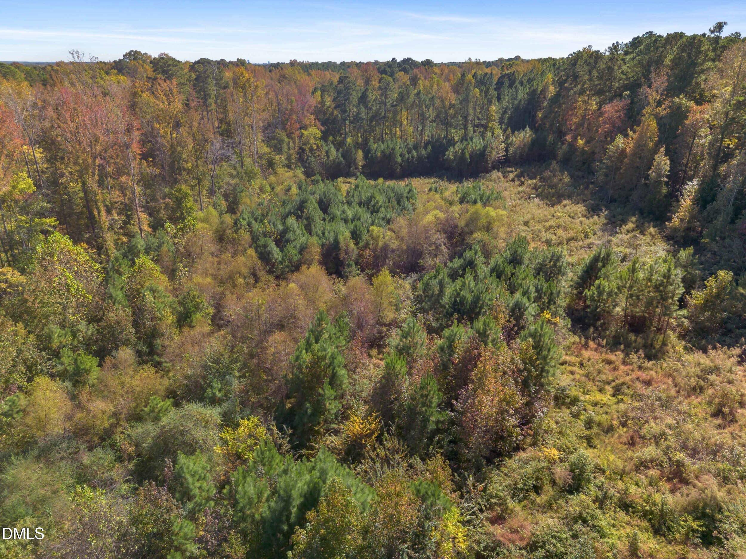 1205 Terry Road Property Photo 5