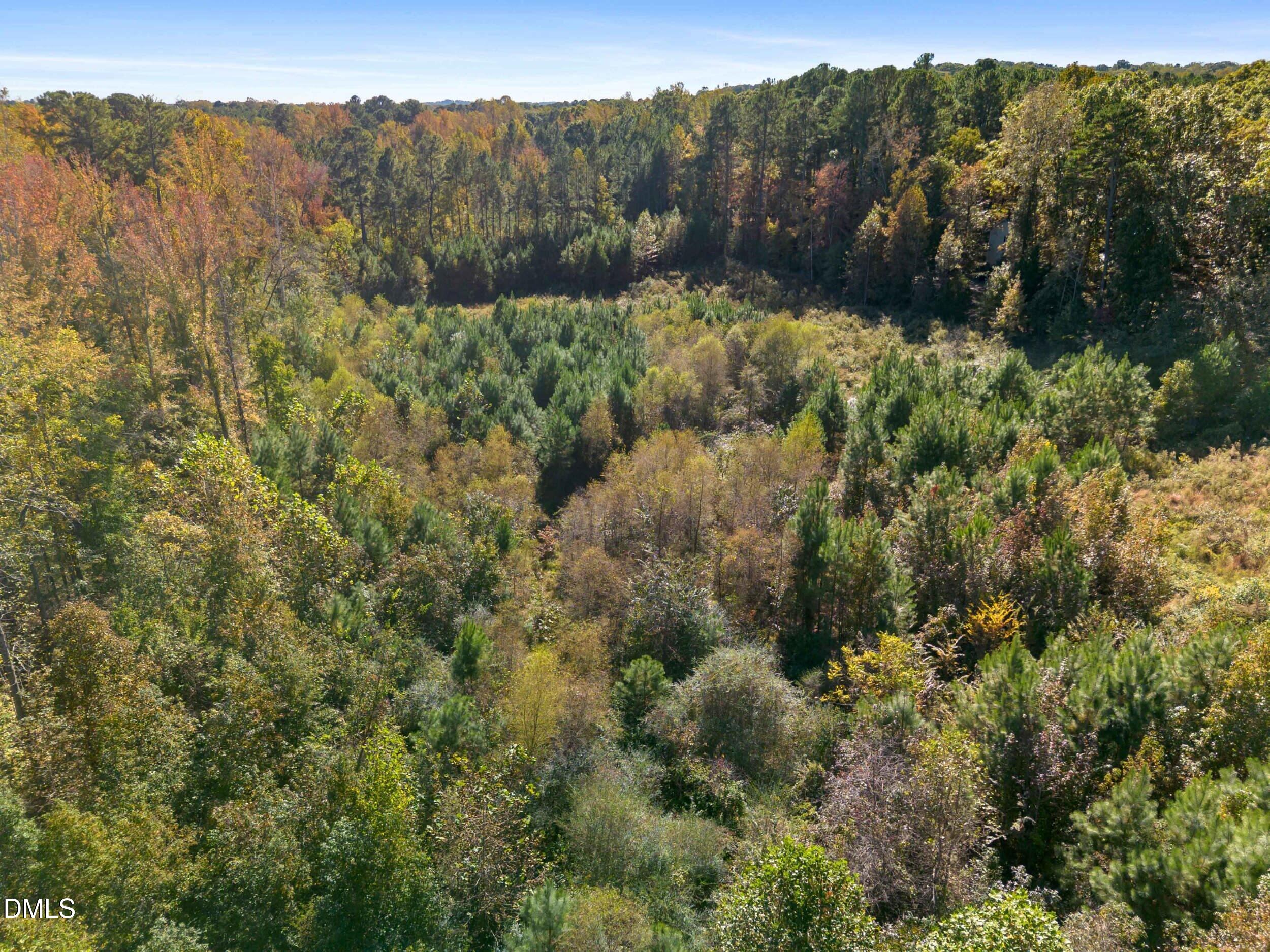 1205 Terry Road Property Photo 6