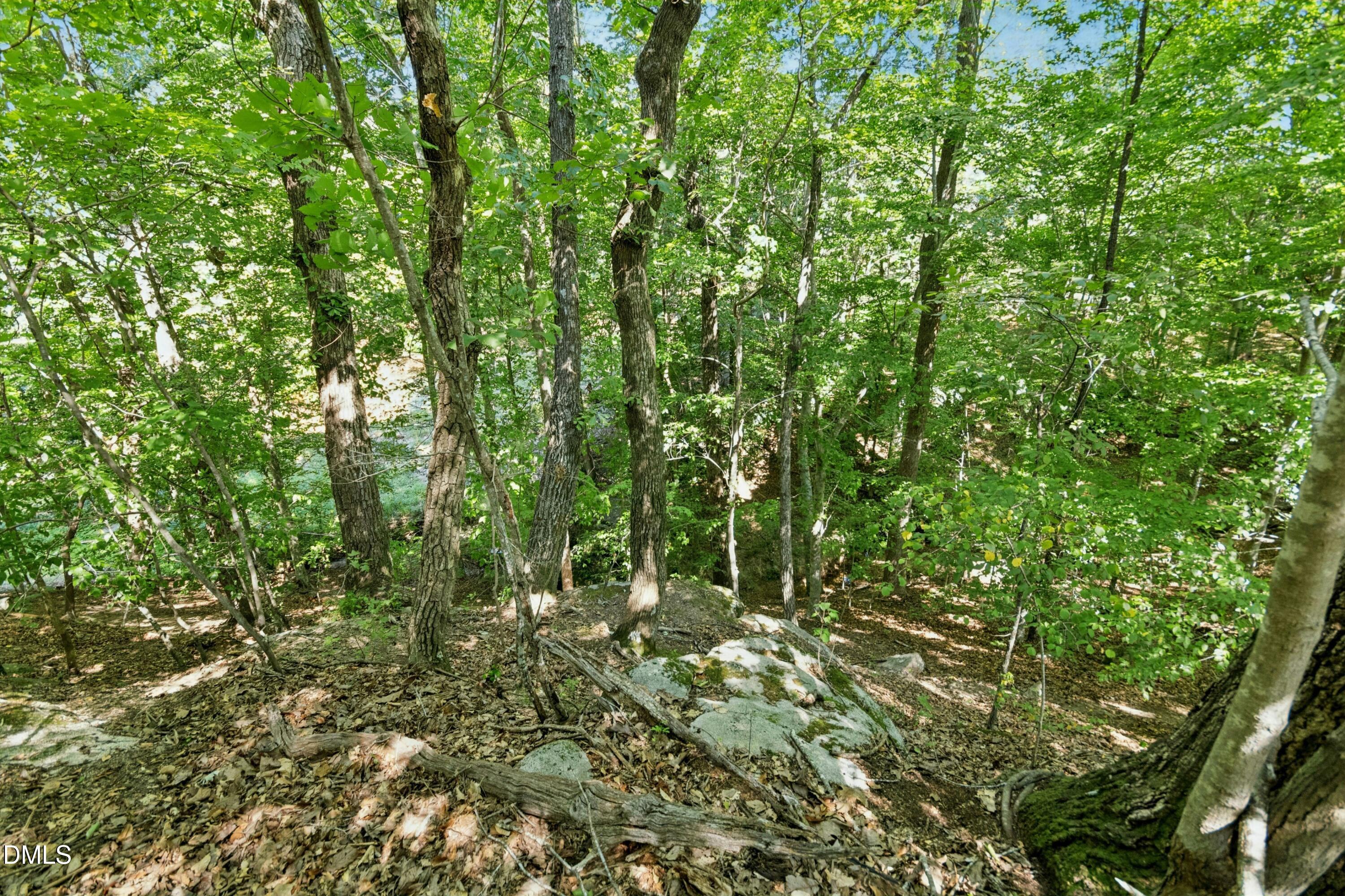 7401 Rocky Ridge Road Property Photo 41