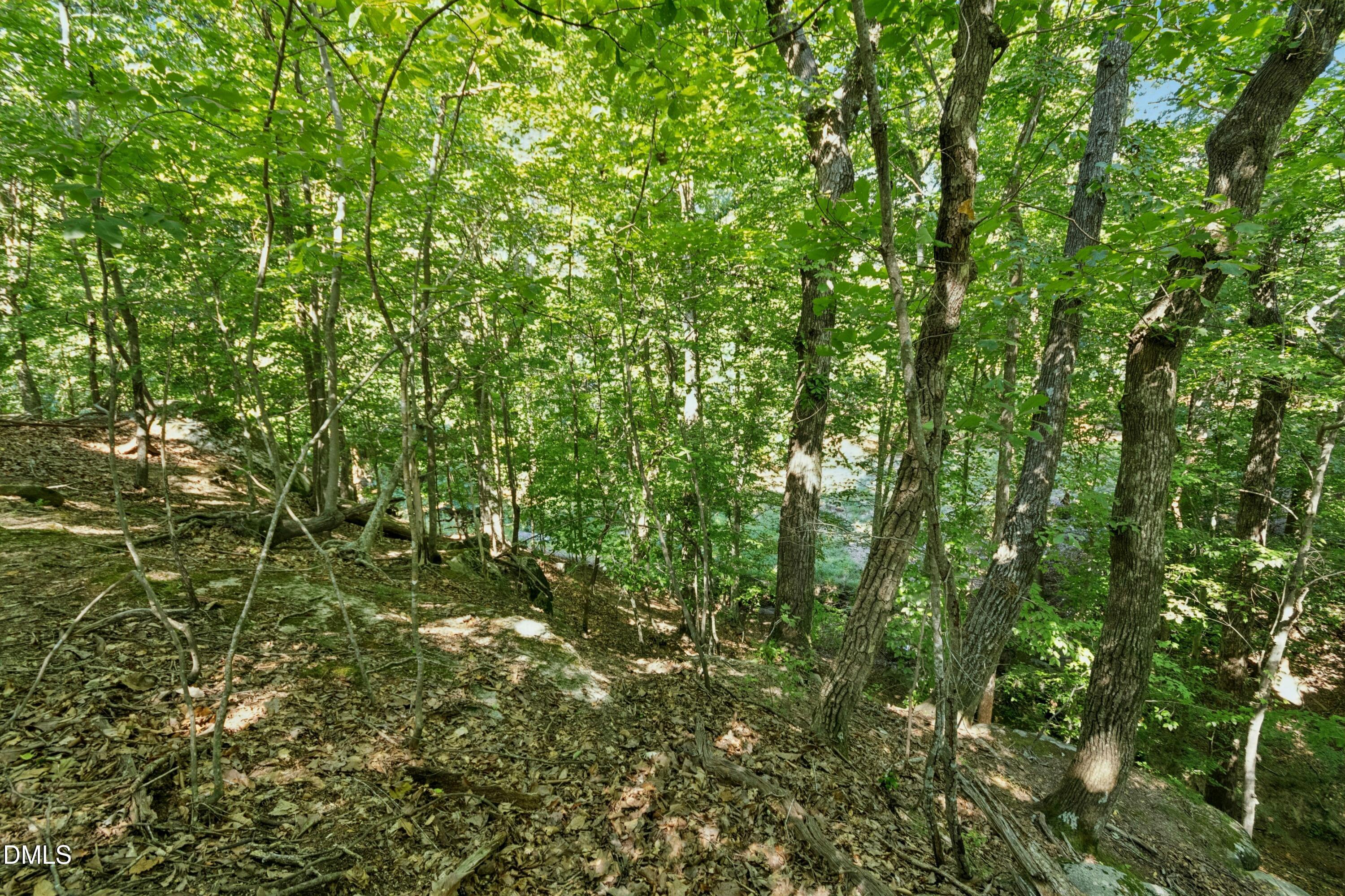 7401 Rocky Ridge Road Property Photo 42