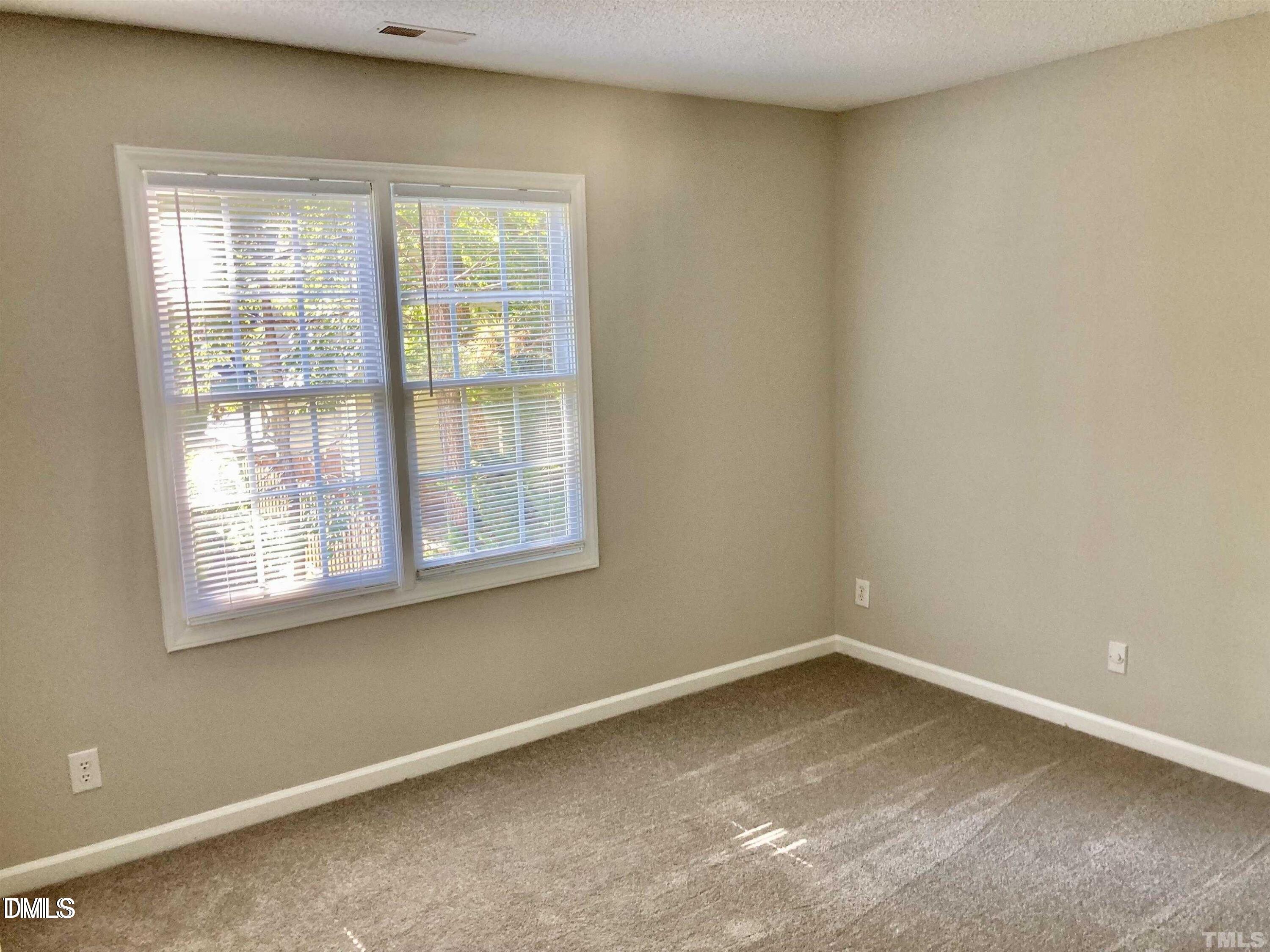 117 Mint Hill Drive Property Photo 7