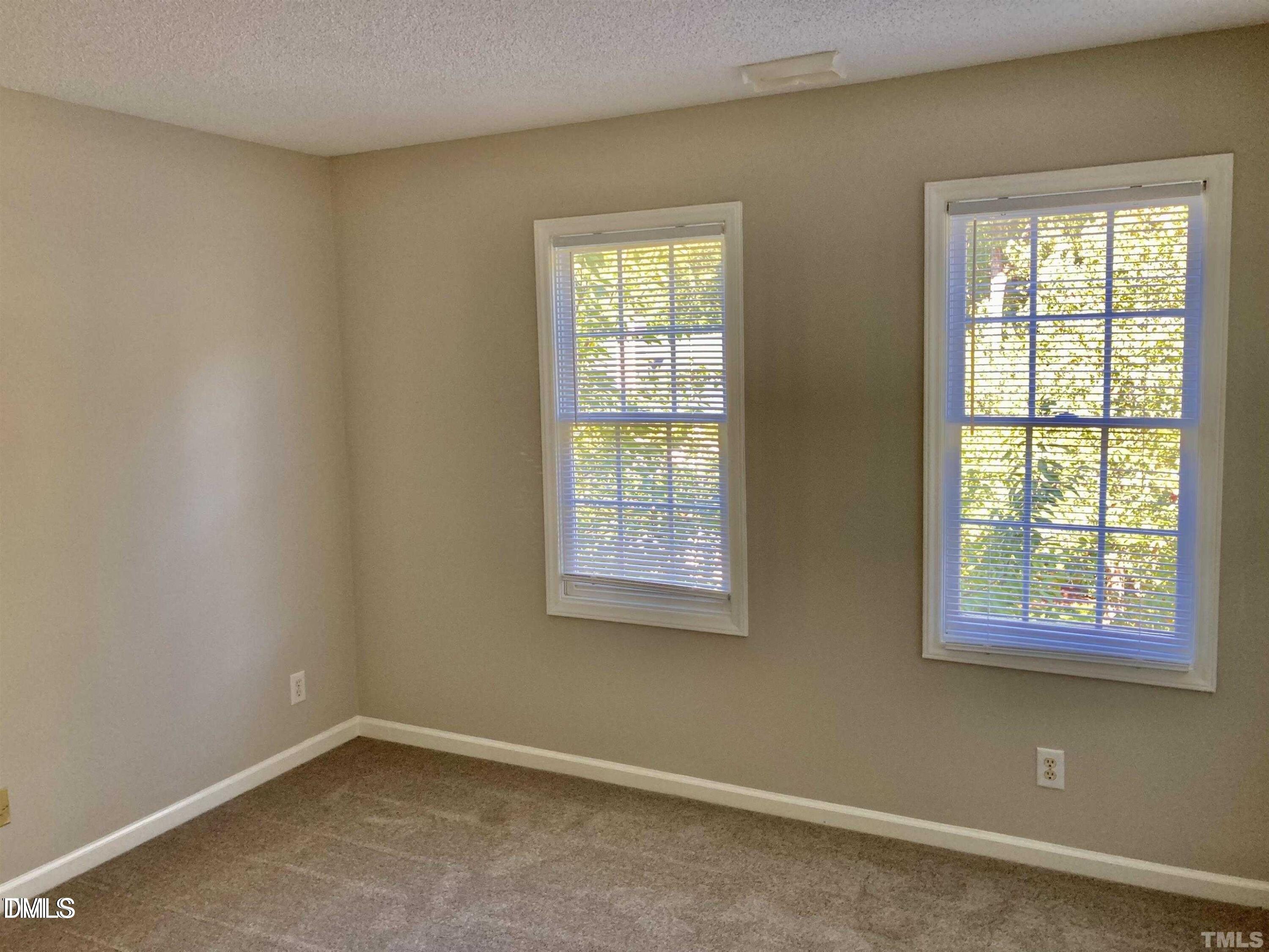 117 Mint Hill Drive Property Photo 9