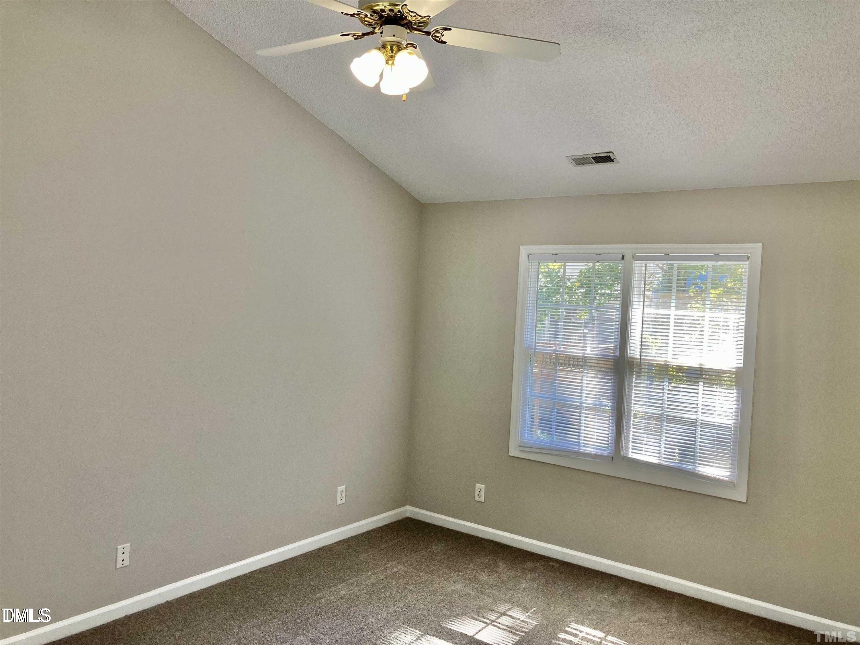 117 Mint Hill Drive Property Photo 11