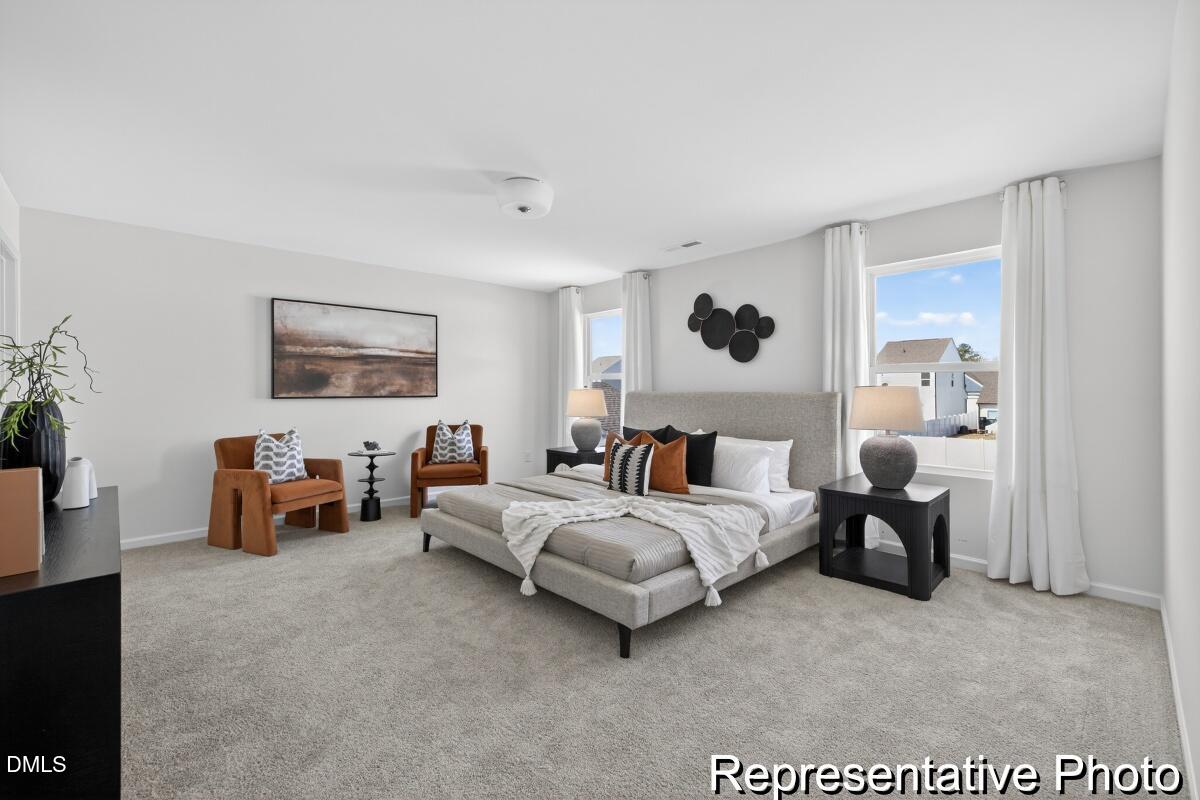 929 Bright Tavern Way 7 Property Photo 16