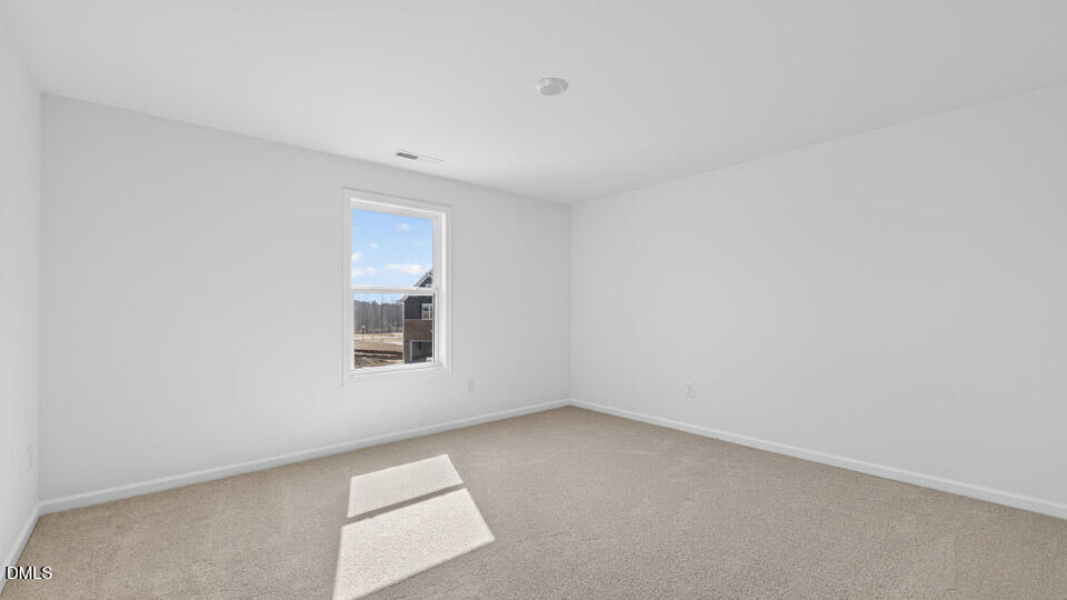 46 Joyful Stone Drive Property Photo 18