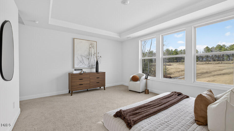 46 Joyful Stone Drive Property Photo 24