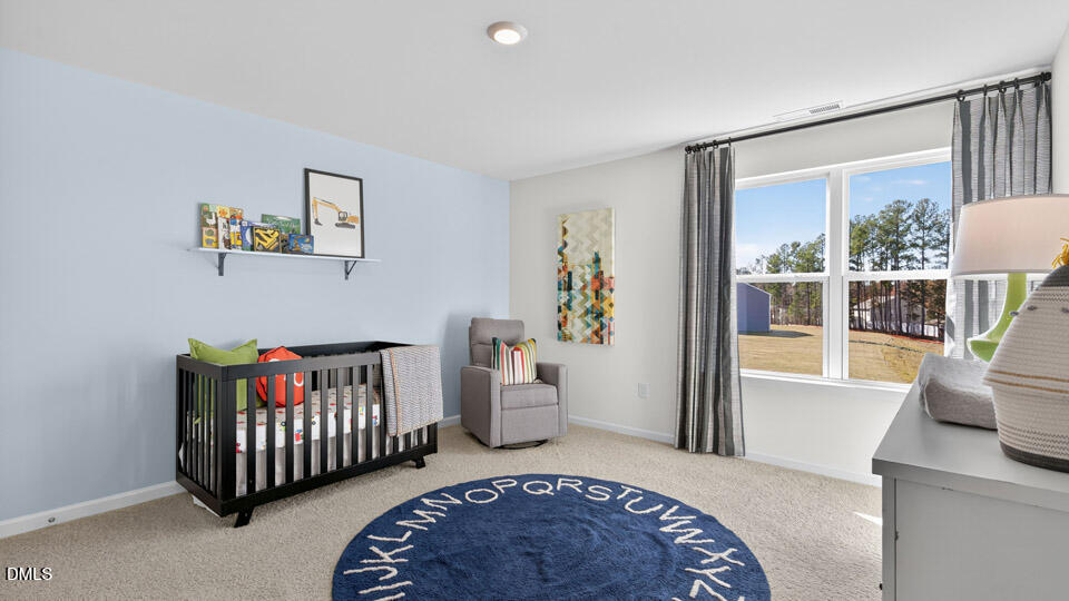 169 Daniel Road Property Photo 22