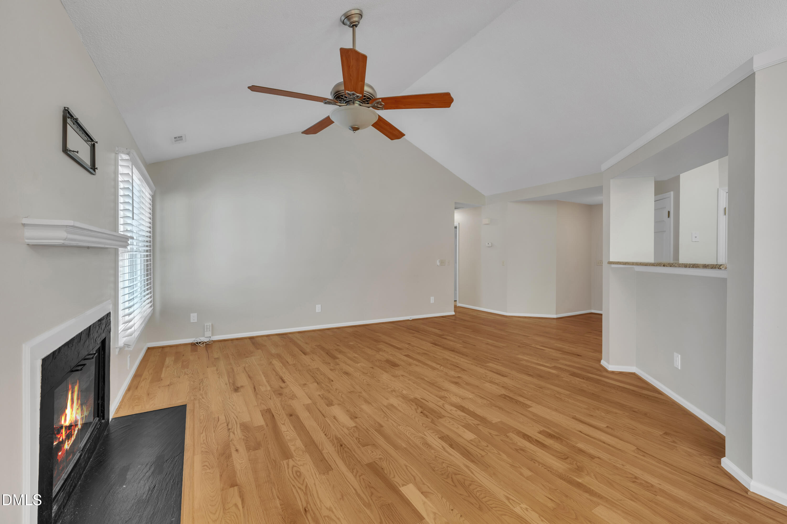 106 London Plain Court Property Photo 12