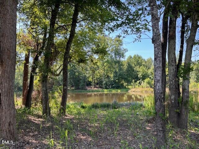 805 E Clydes Point Way Property Photo 21