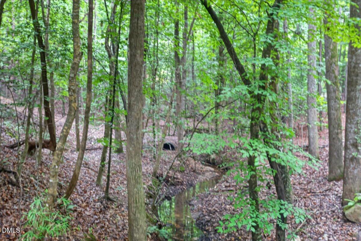 4002 Stoneway Court Property Photo 76