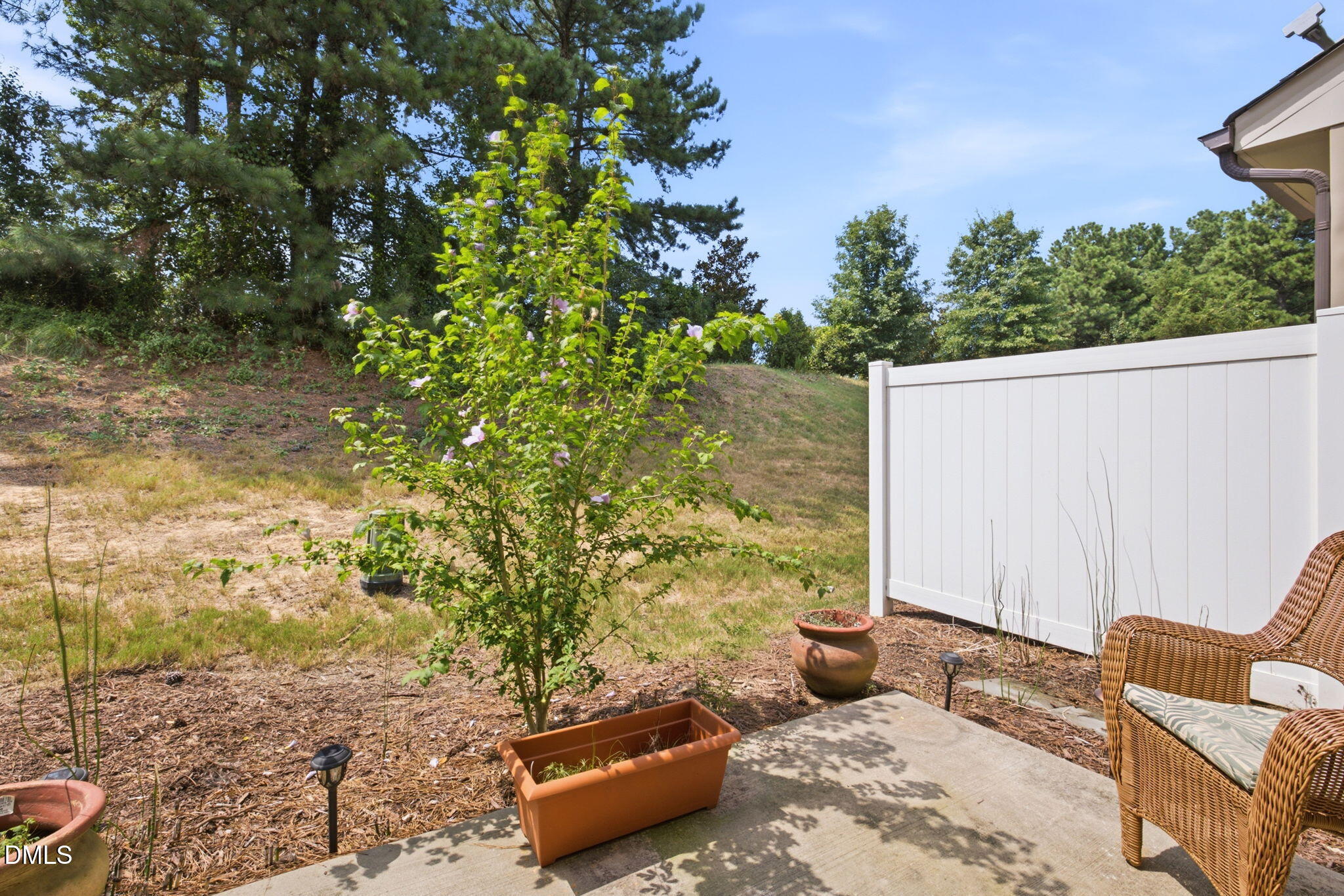 9849 Sweet Basil Drive Property Photo 30
