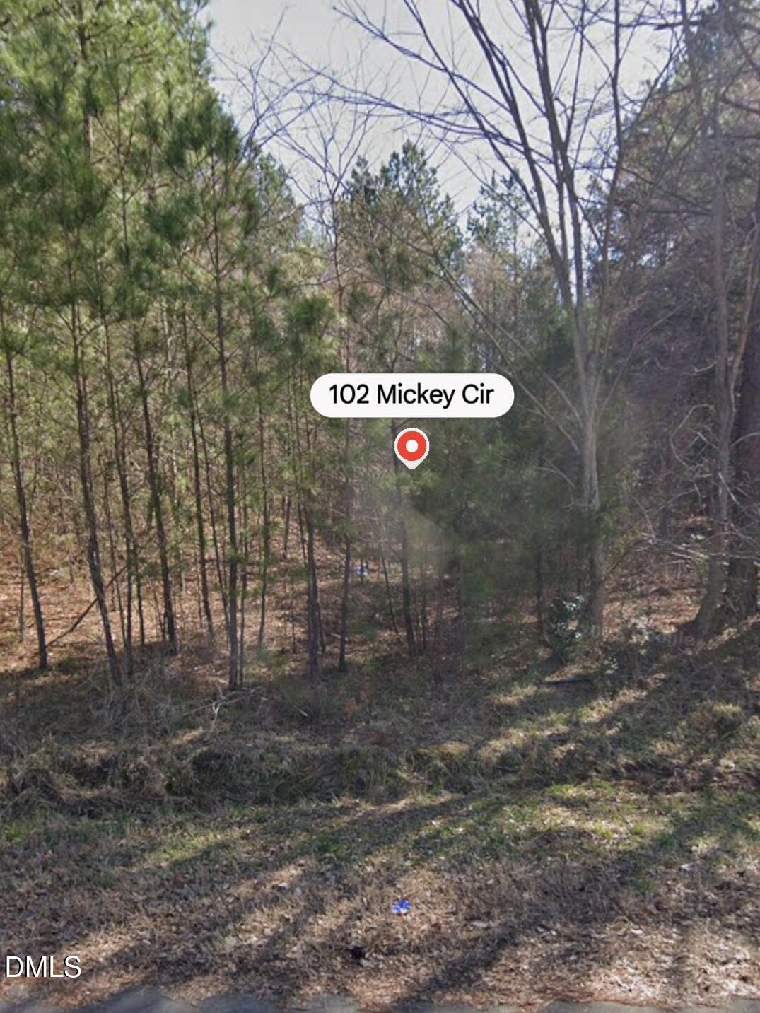 102 Mickey Circle Property Photo 1
