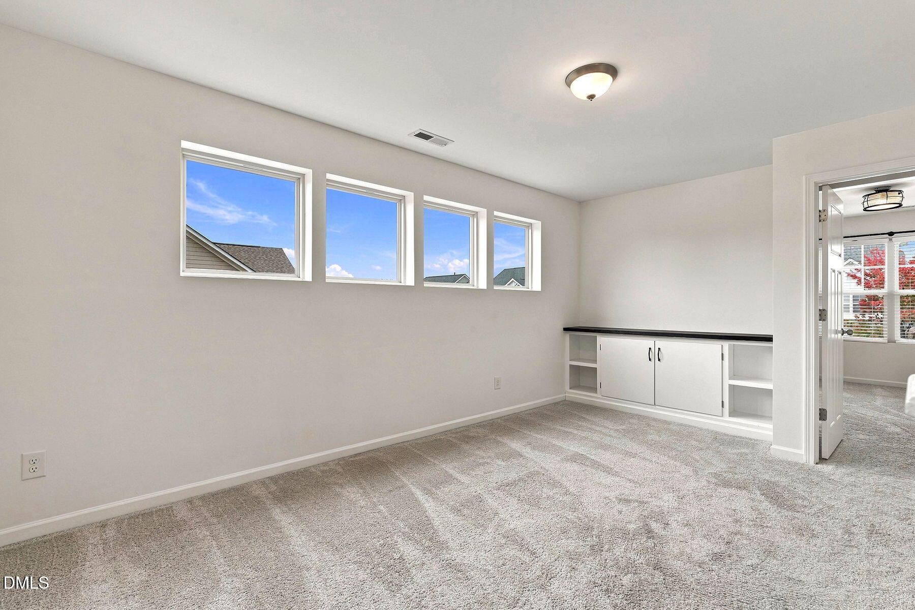 1009 Dillon Lake Drive Property Photo 19