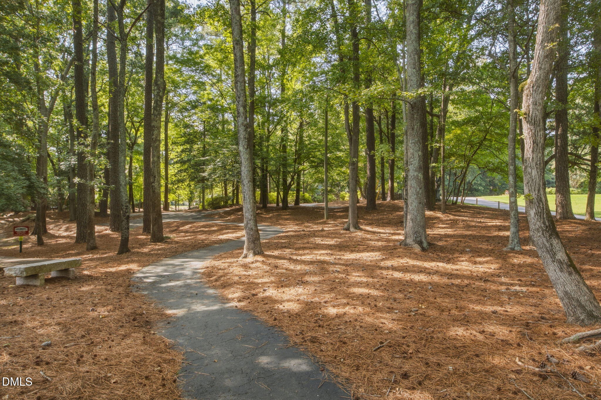 5412 Catmint Court Property Photo 65