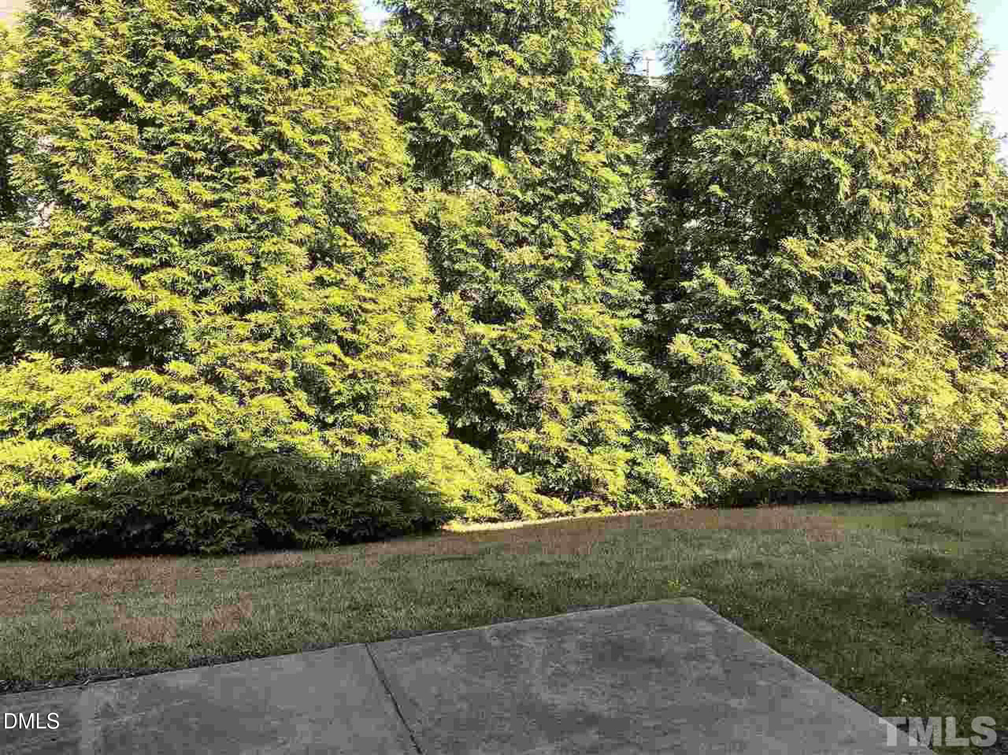 131 Anterbury Drive Property Photo 20